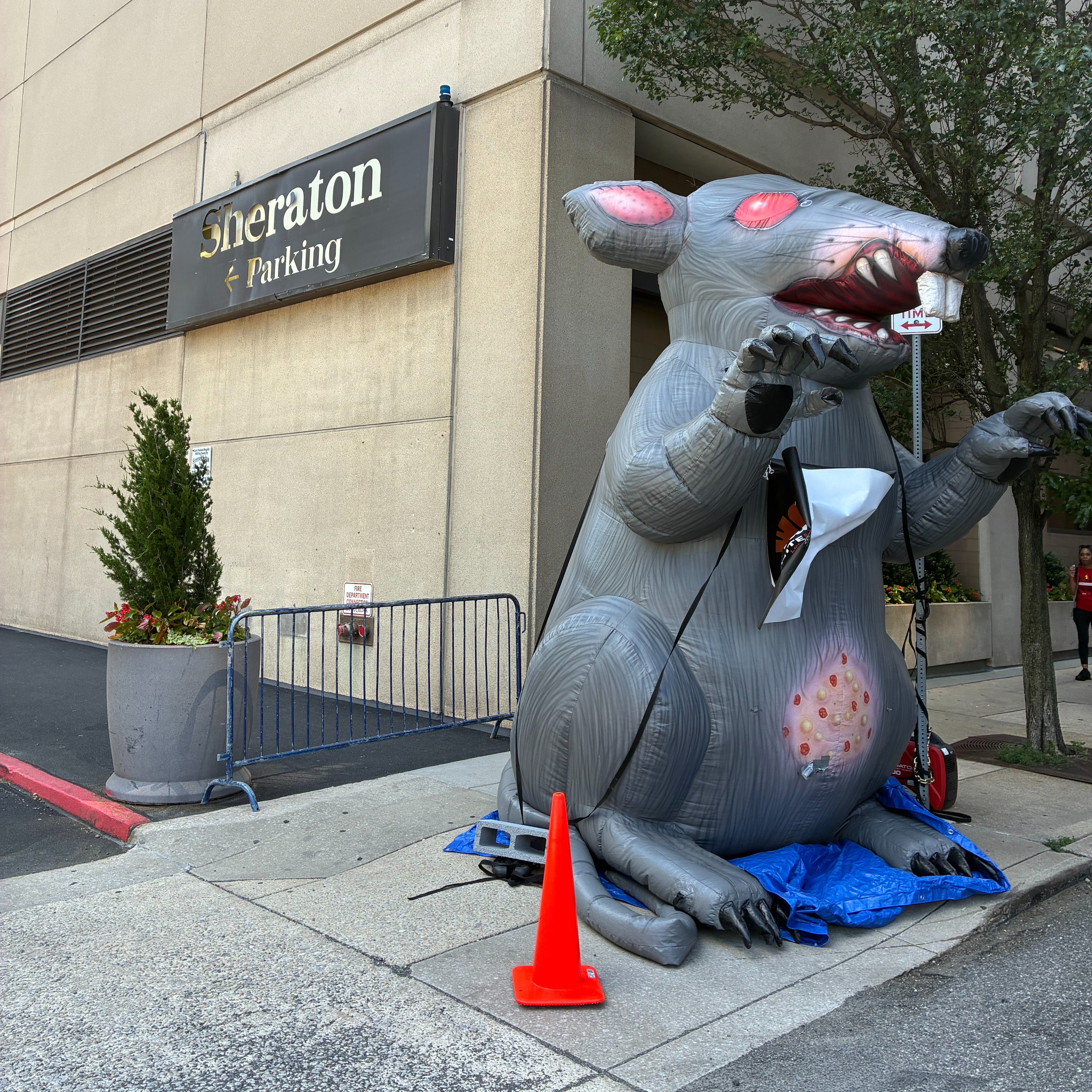 Sheraton Philadelphia Downtown workers on strike episode artwork
