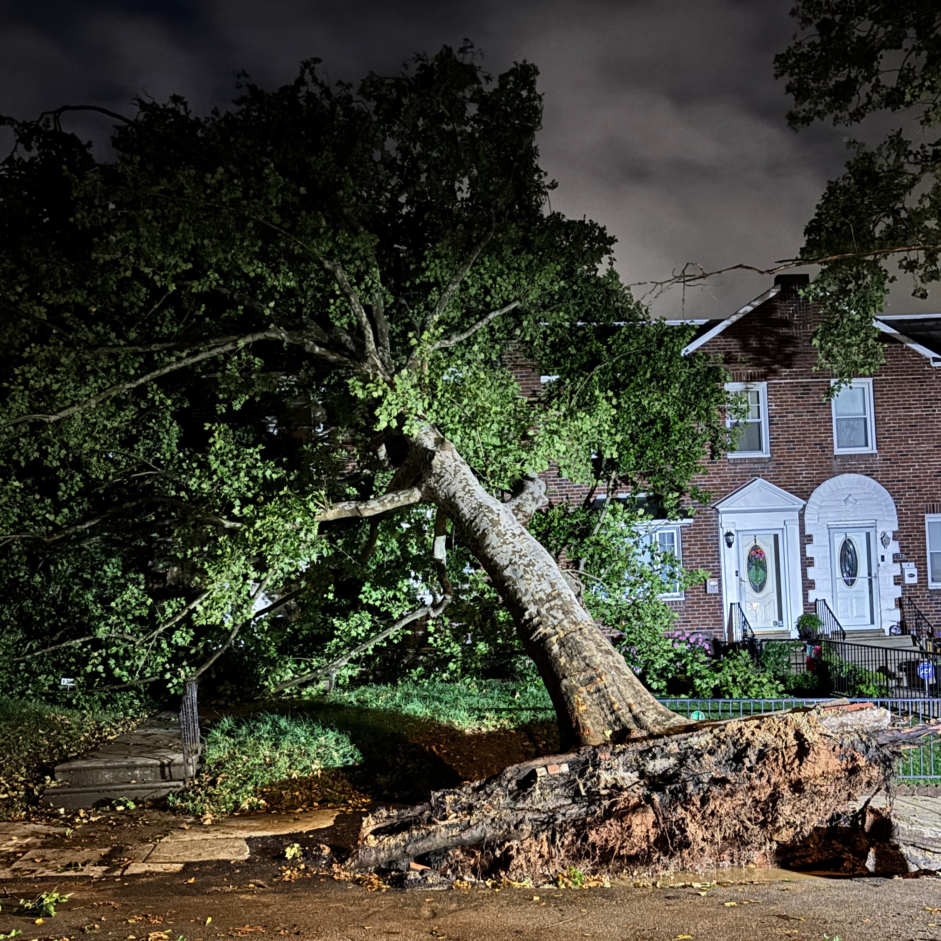 Tree falls on two Tacony row homes during severe storms episode artwork