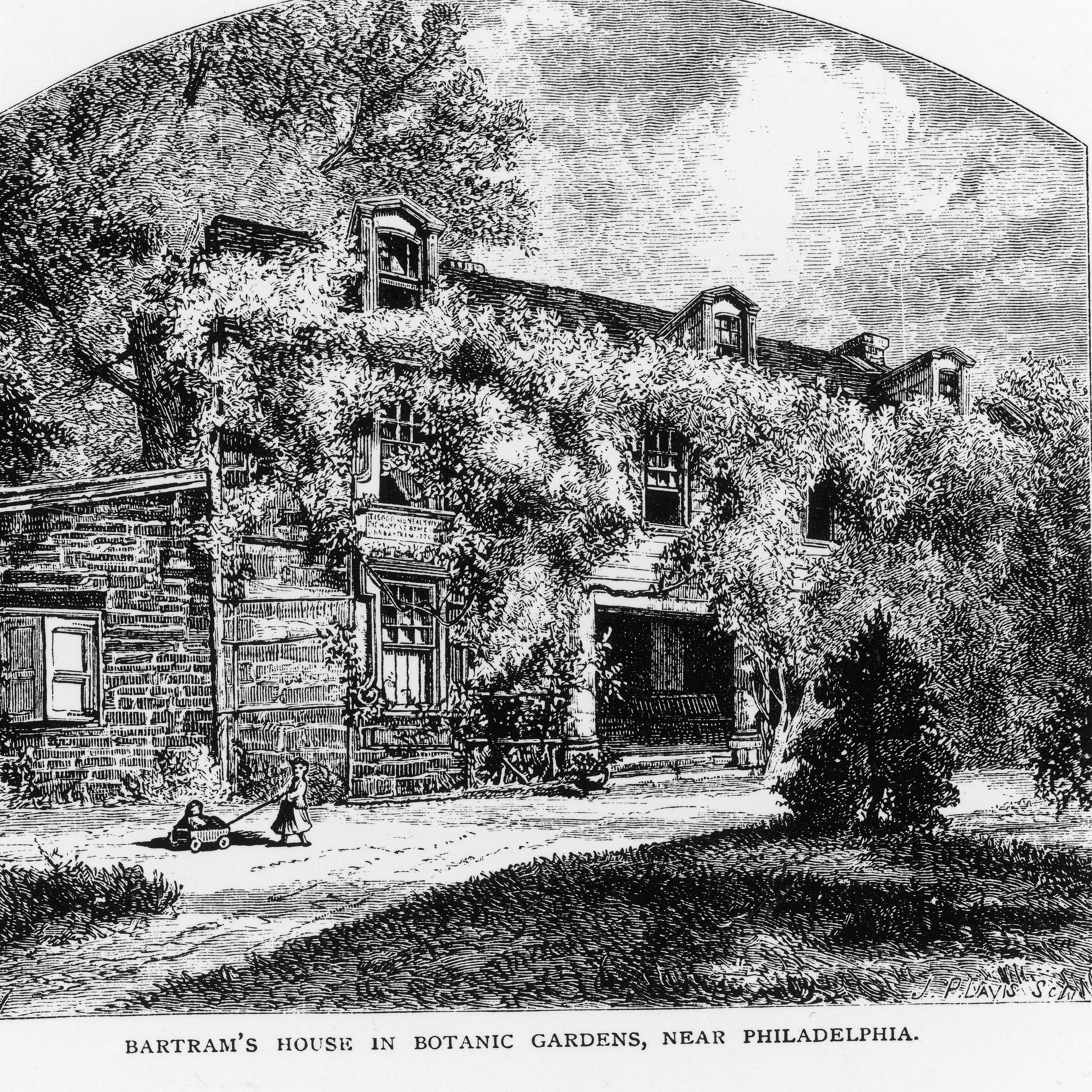 Philly Voices: John Bartram, the father of American botany episode artwork