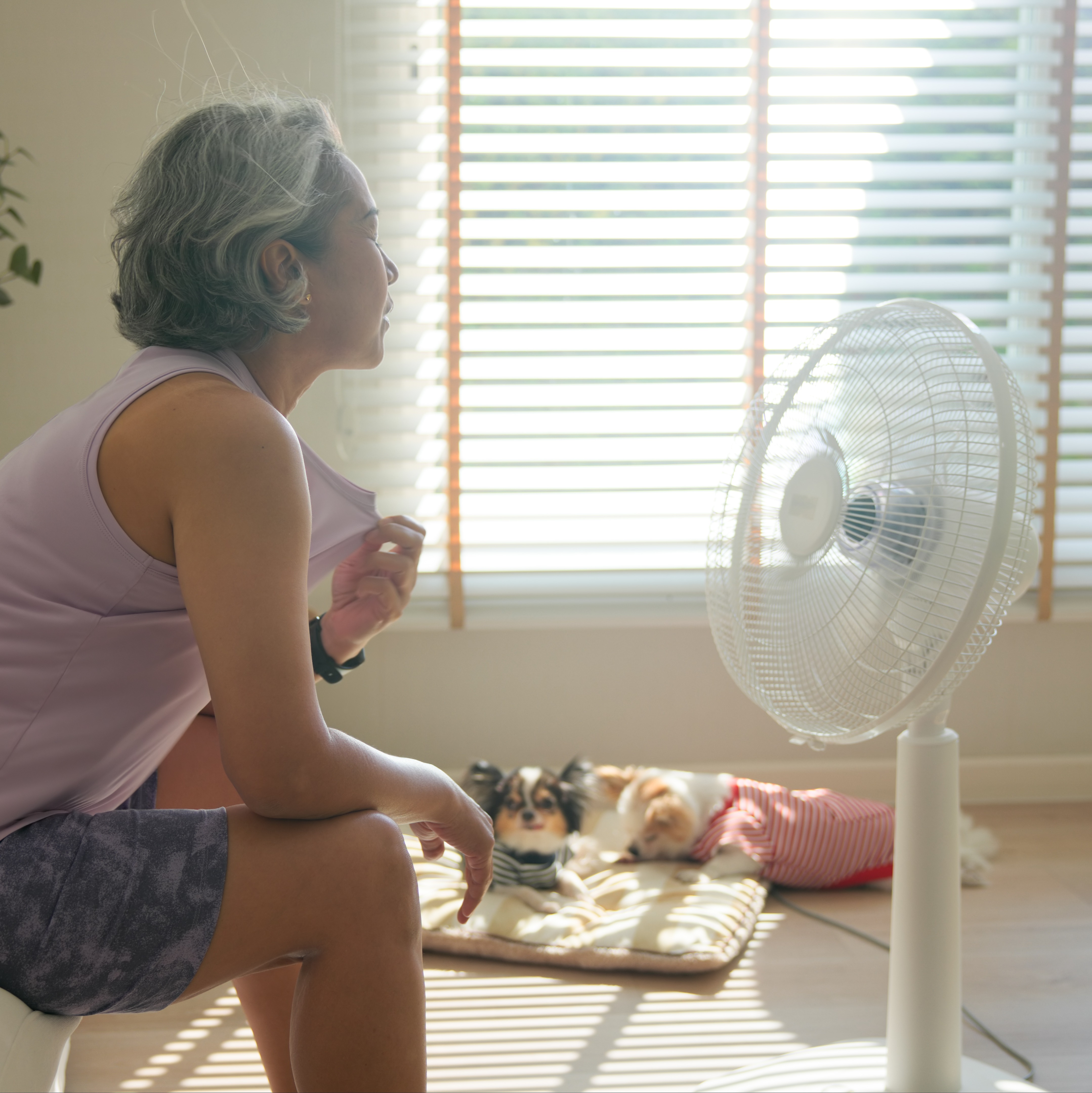 Delaware County declares Code Red for extreme heat episode artwork