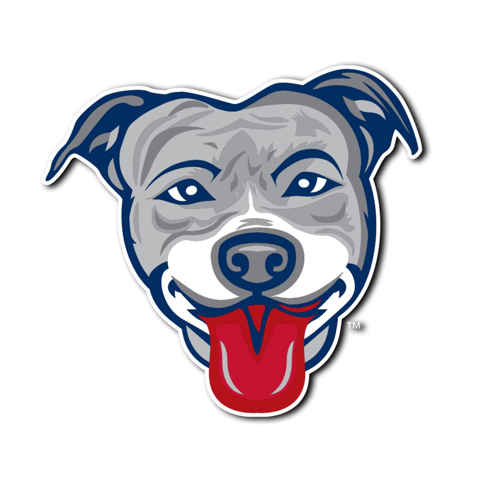 Lehigh Valley AAA club temporarily changing name from ‘Piggies to Pitties’ episode artwork