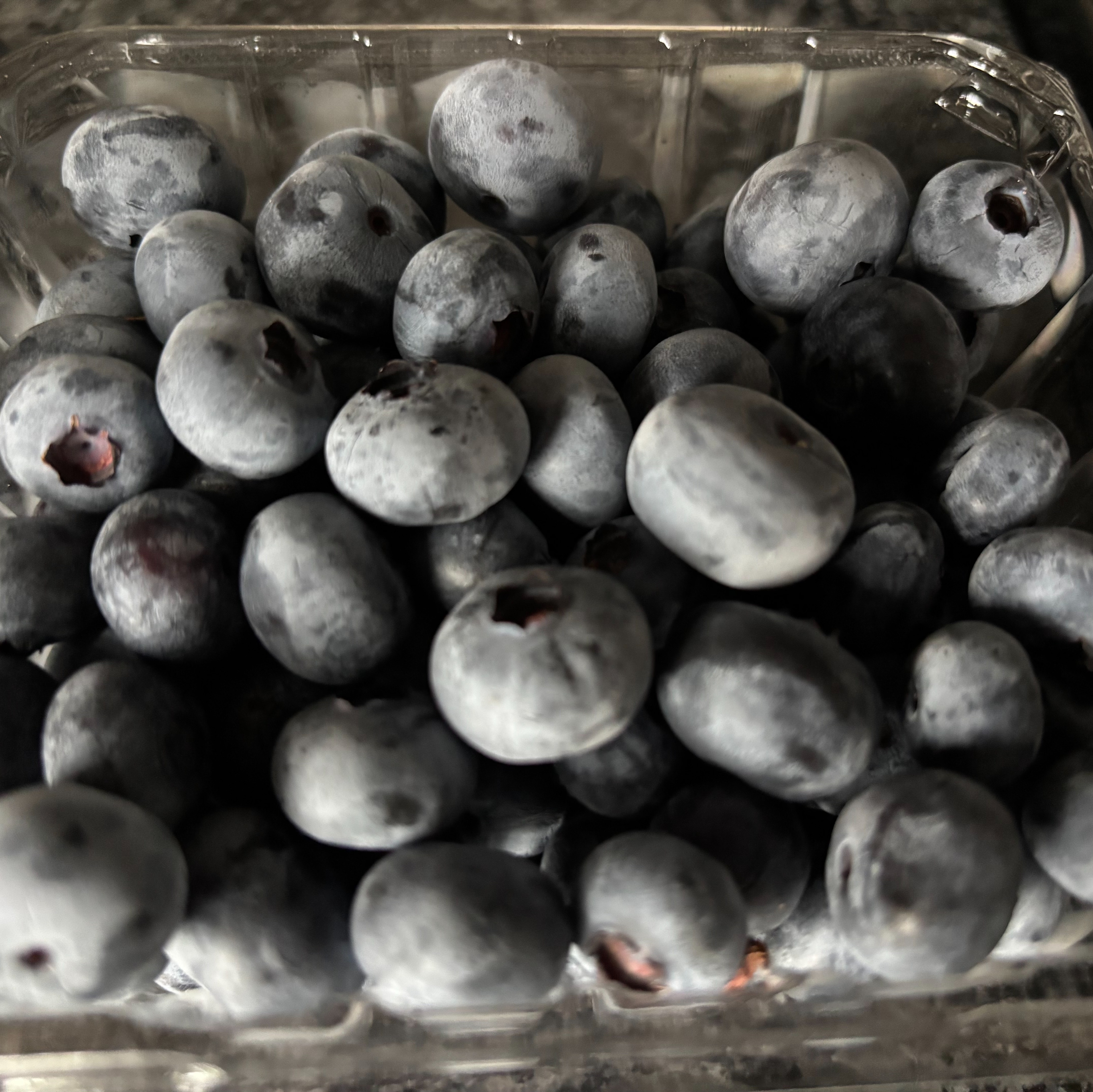 New Jersey to give away blueberries despite spring frost shrinking this year’s crop episode artwork