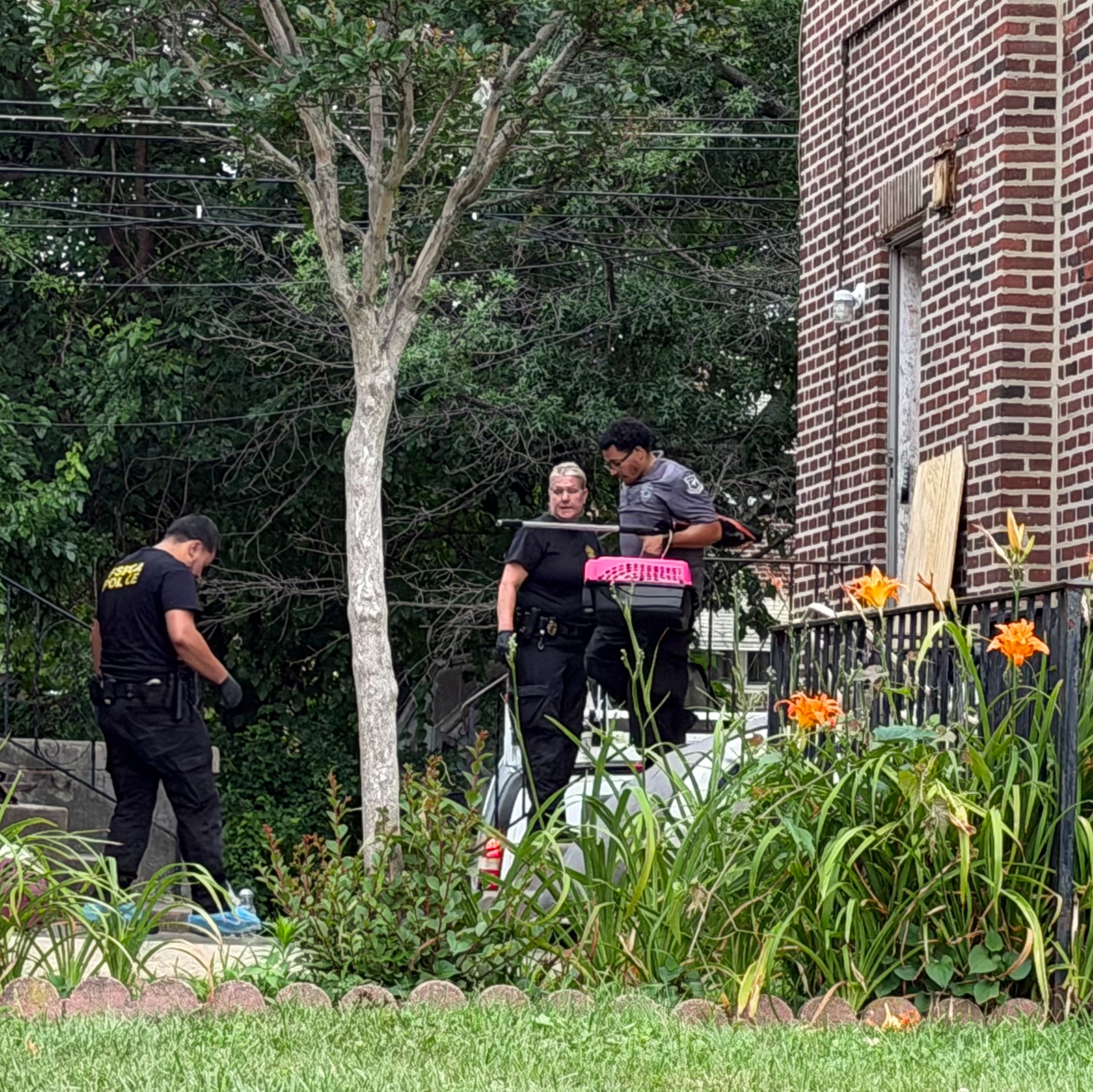 Children and animals removed from 'unsafe and uninhabitable' Northeast Philly home, police say episode artwork