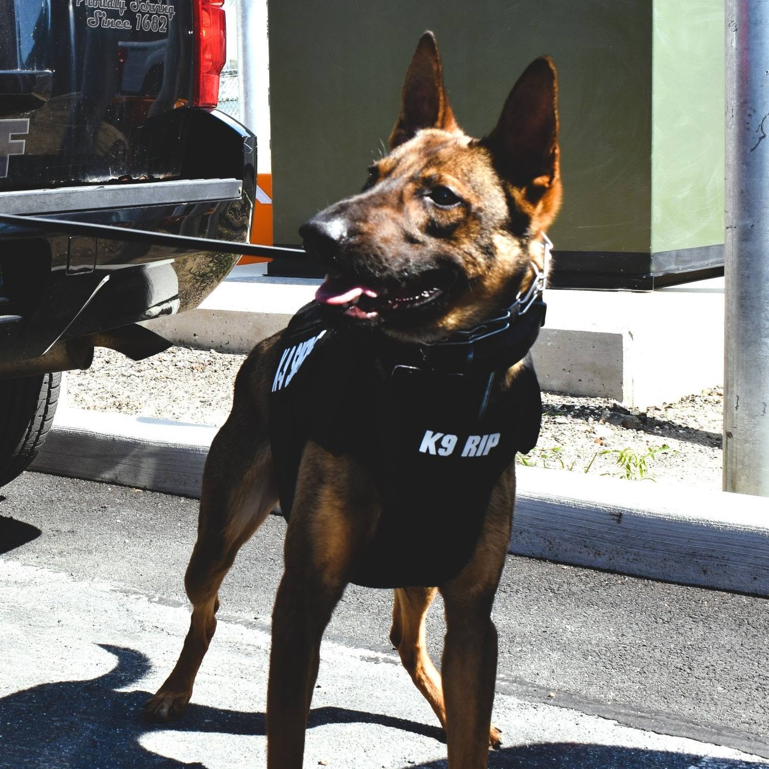NJ officer charged after two K-9s died of heat stroke inside his car episode artwork