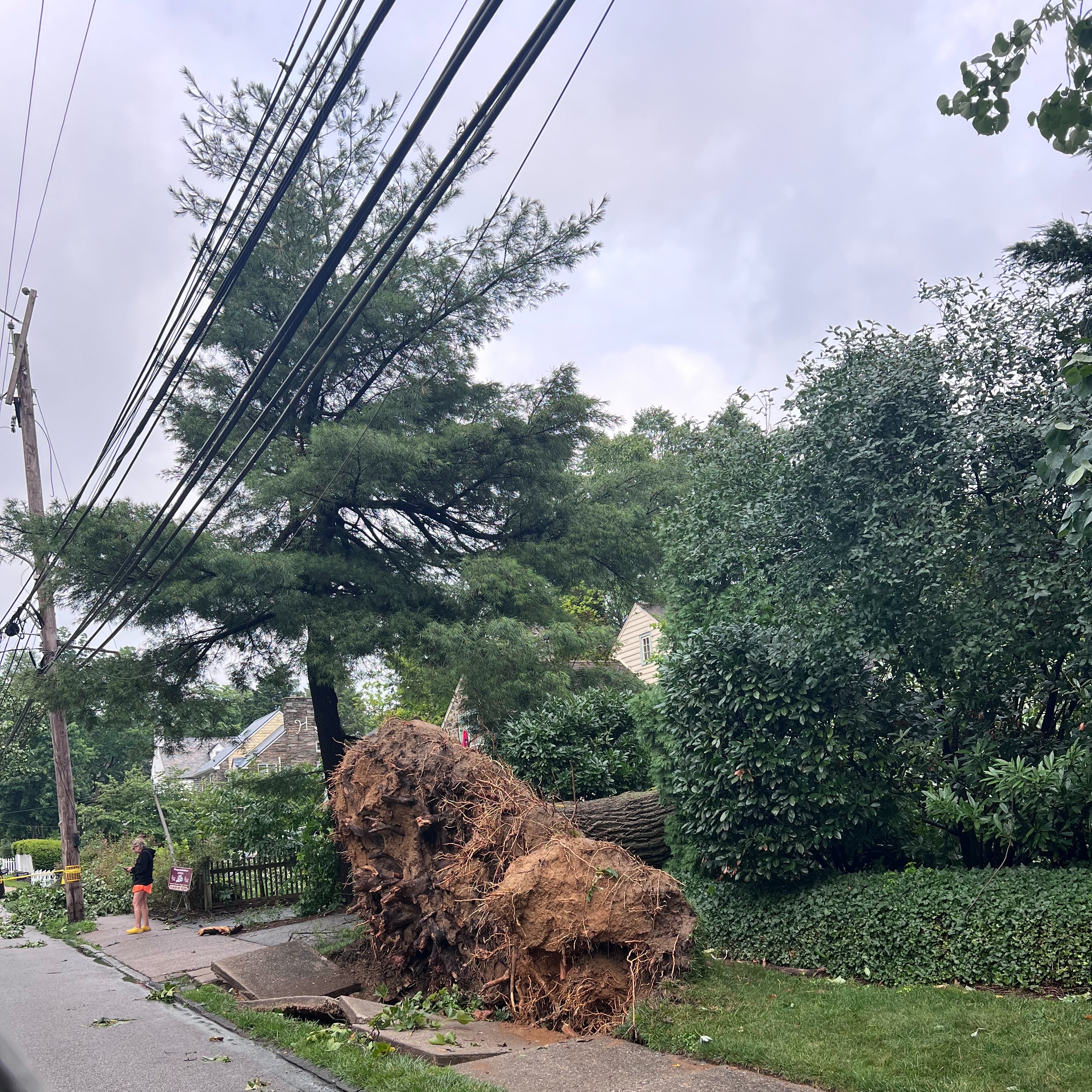 Severe storm rips through the Philly region, knocking out power, downing trees and blowing off roofs episode artwork