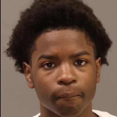 Teen accused of robbing and killing pizza delivery driver execution style episode artwork