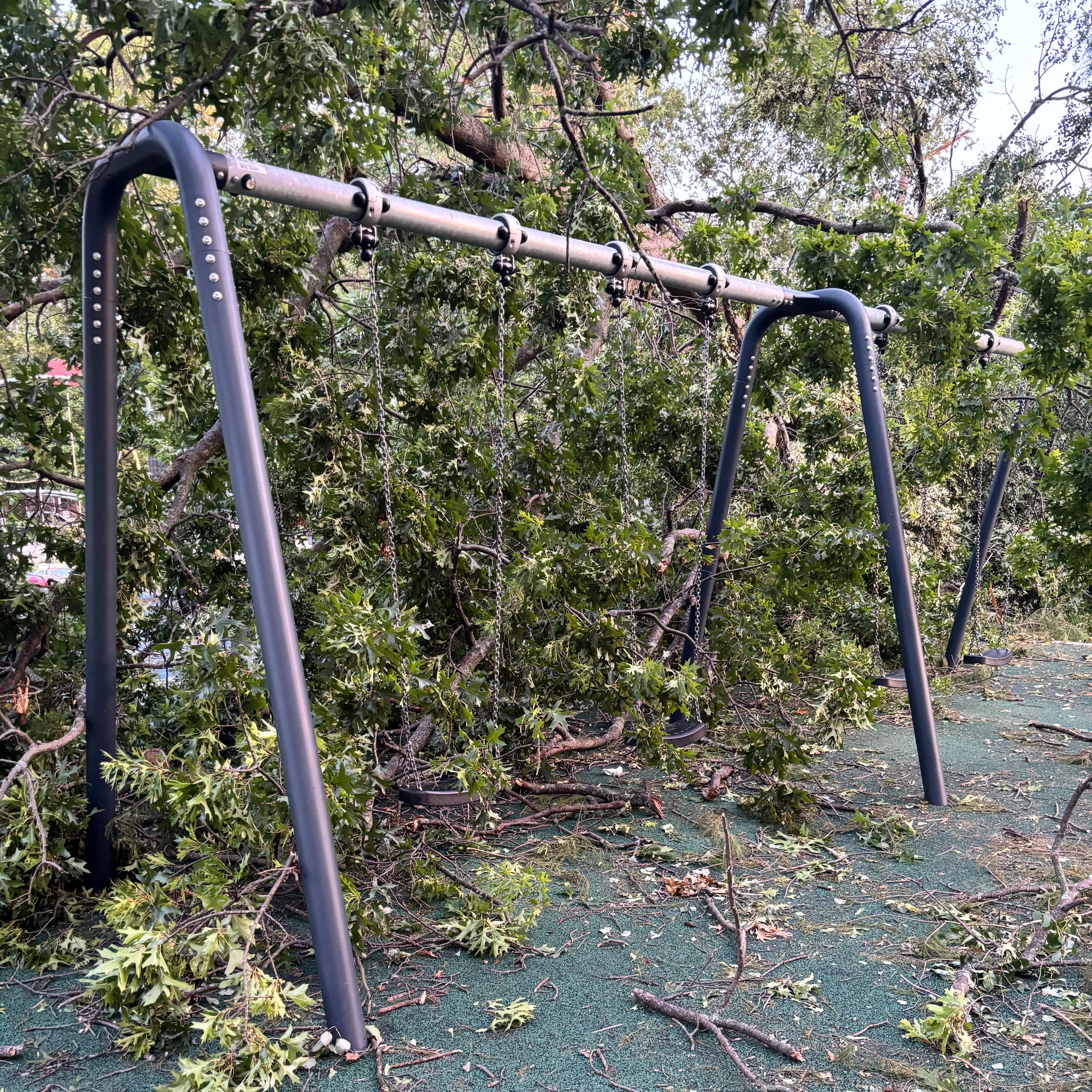 City promises to replace all trees knocked down during microbursts episode artwork