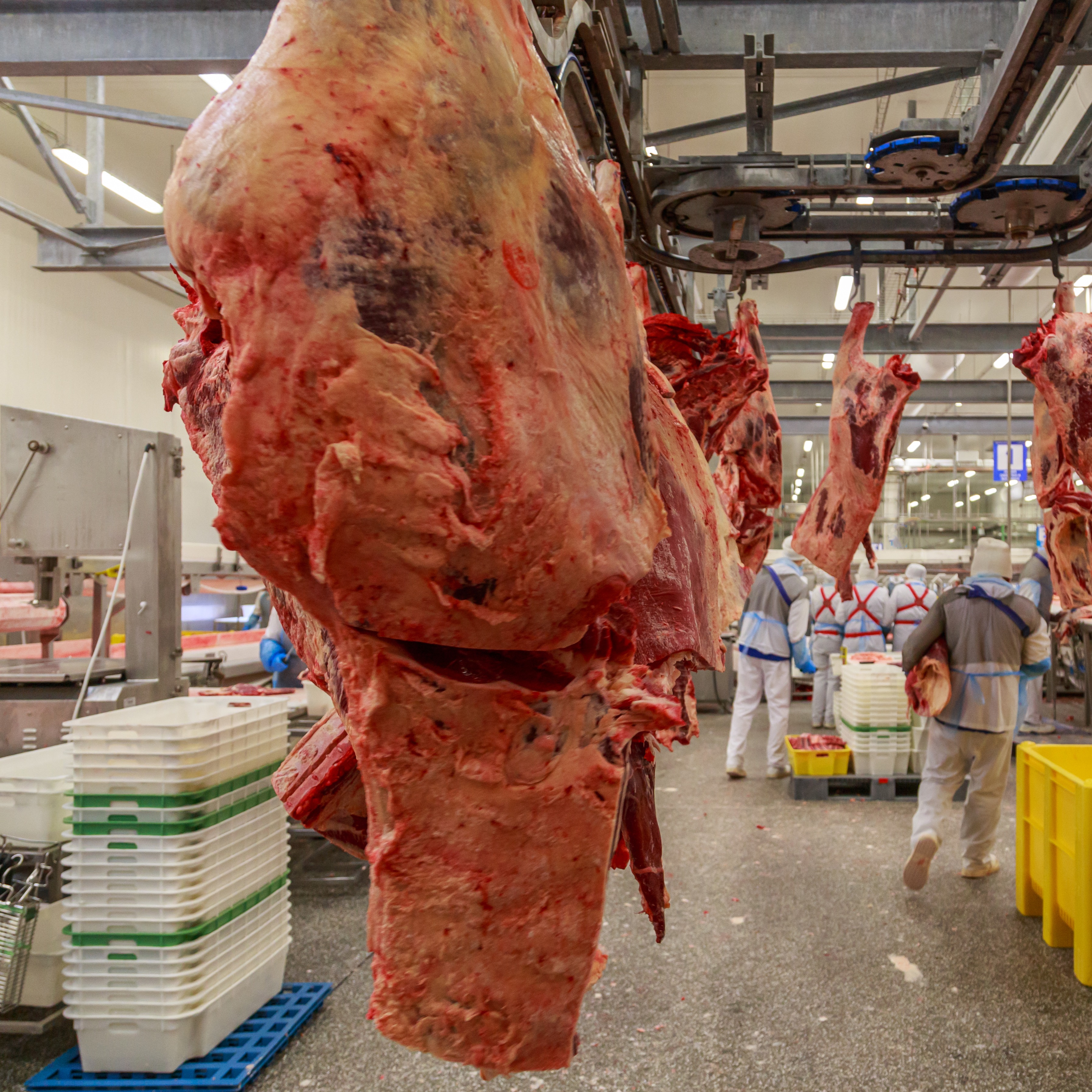 Pa. to start regulating food processing waste being used as fertilizer episode artwork