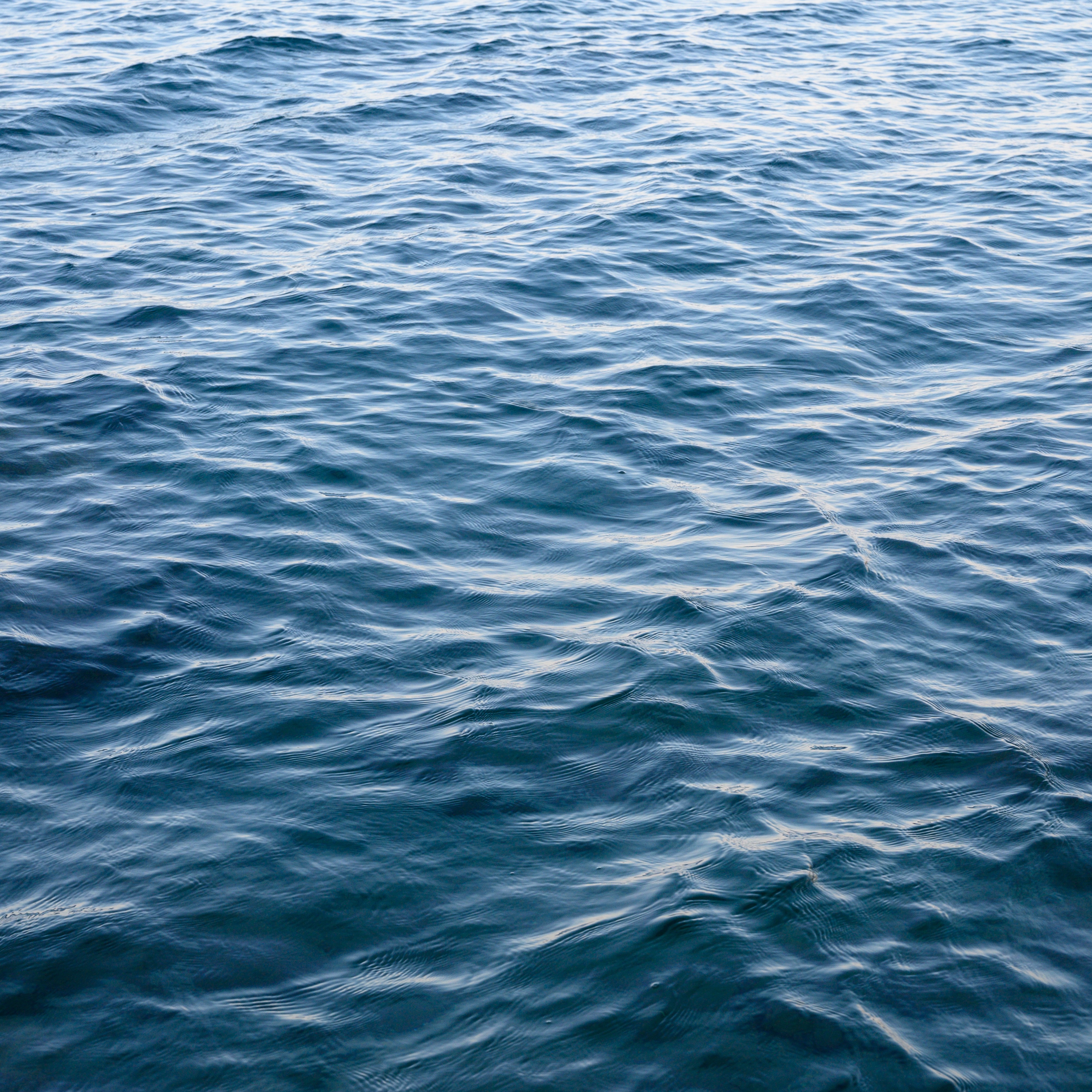 Swimmer dies after being rescued from ocean in Sea Isle City episode artwork