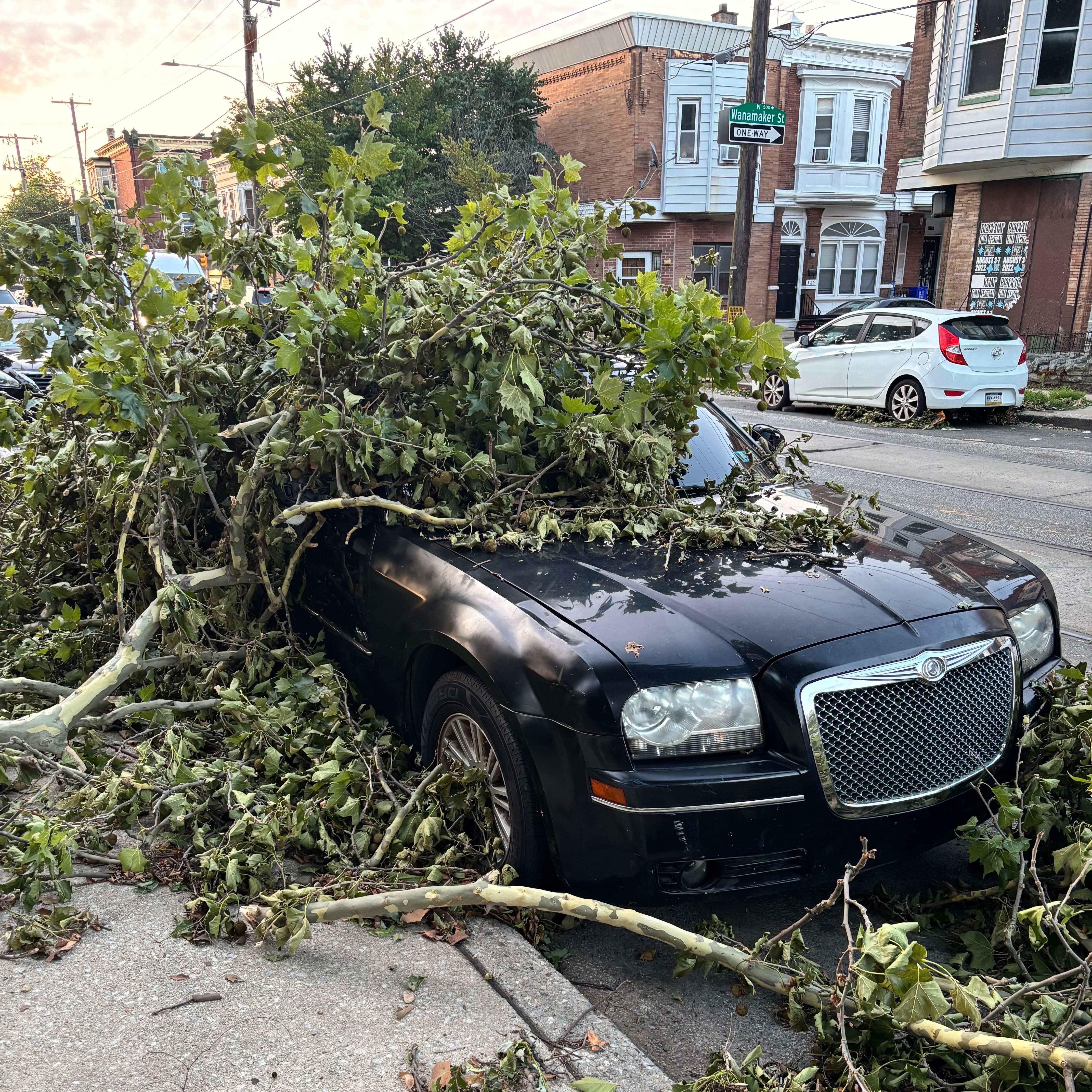 City opens resource center to help those affected by recent microbursts episode artwork