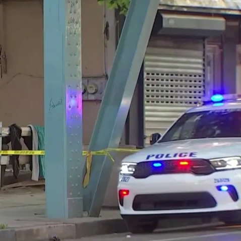 Dog shot, man injured in Kensington, police say episode artwork