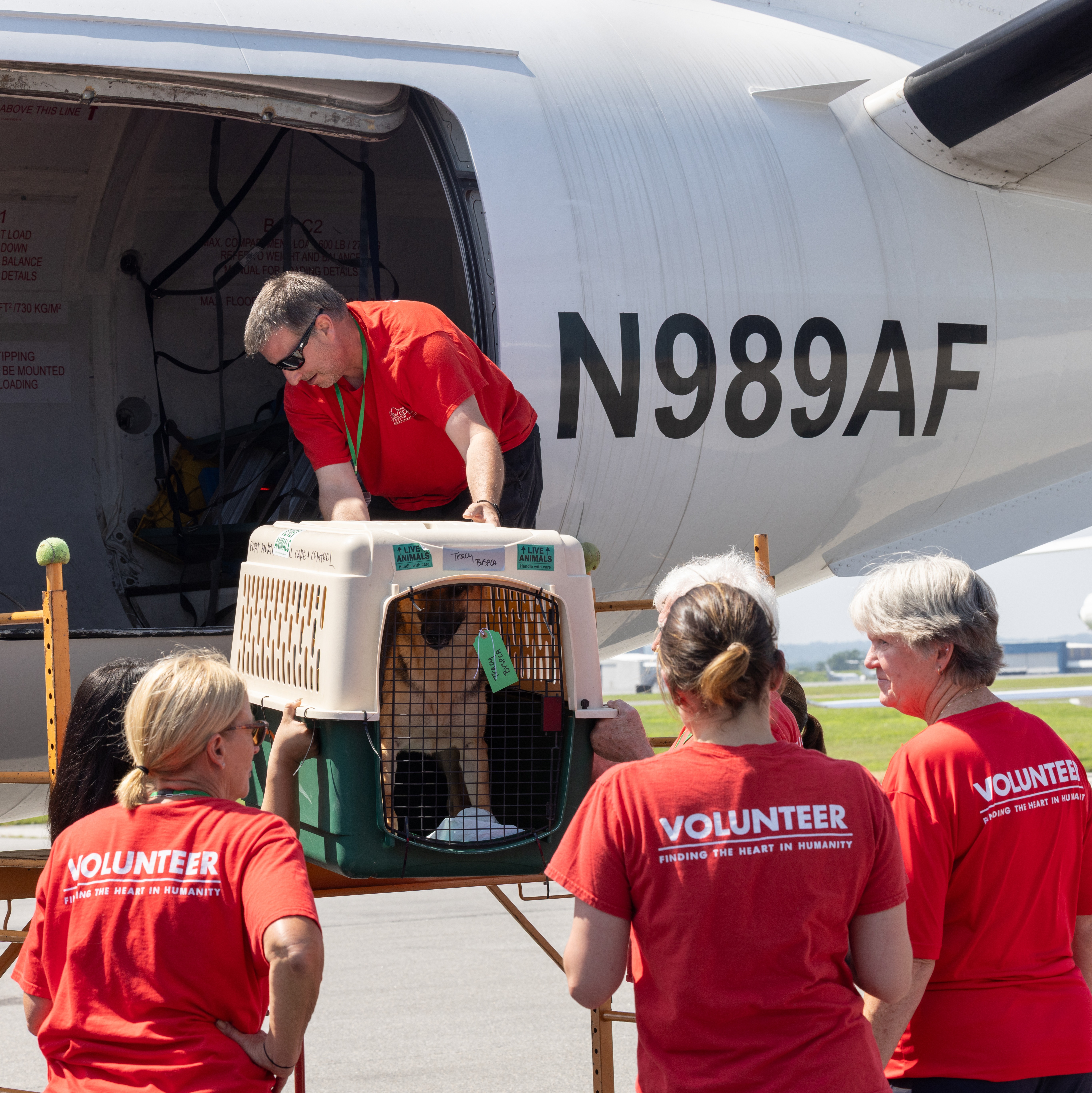 Brandywine Valley SPCA welcomes flight of adoptable pets from flood-ravaged Texas episode artwork