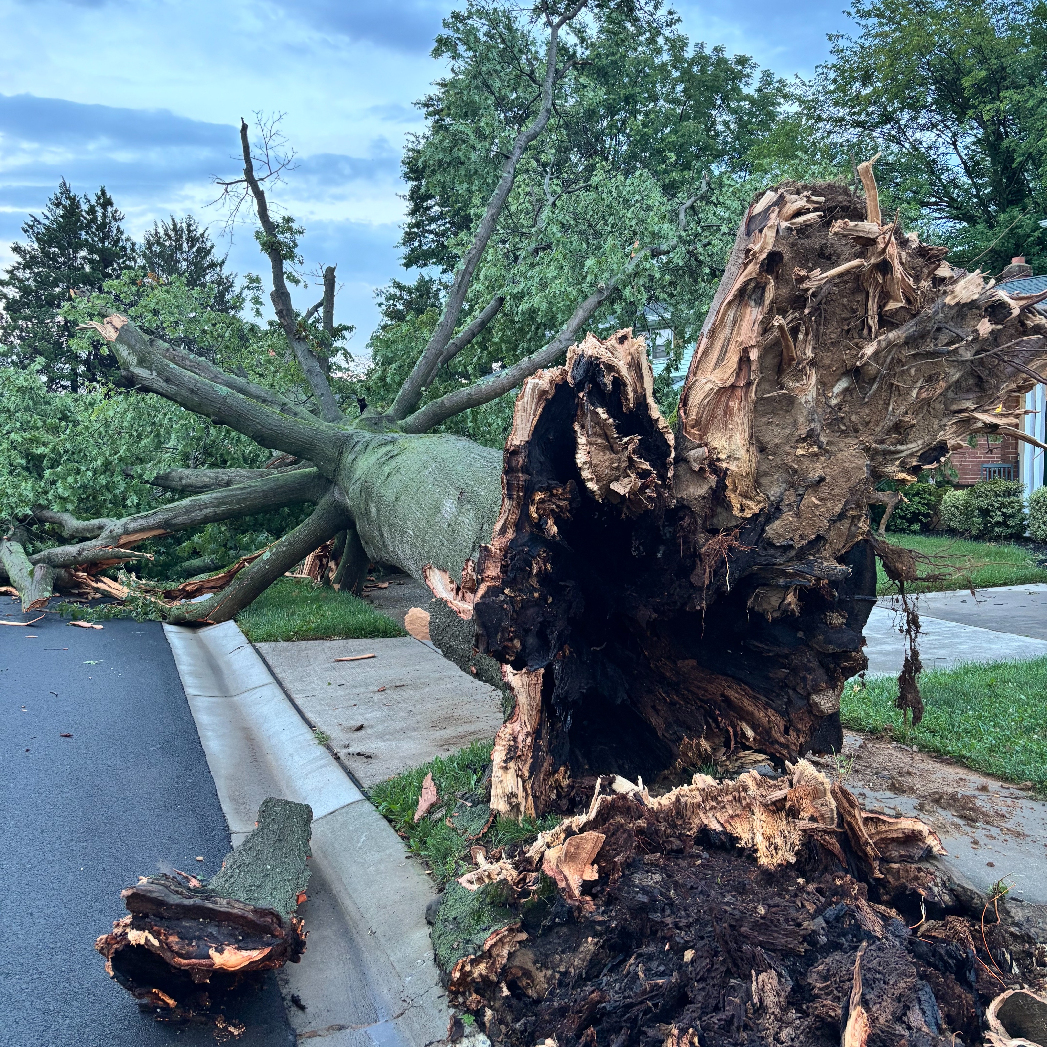 2 waterspouts, brief tornado hit Cape May County during severe storms episode artwork