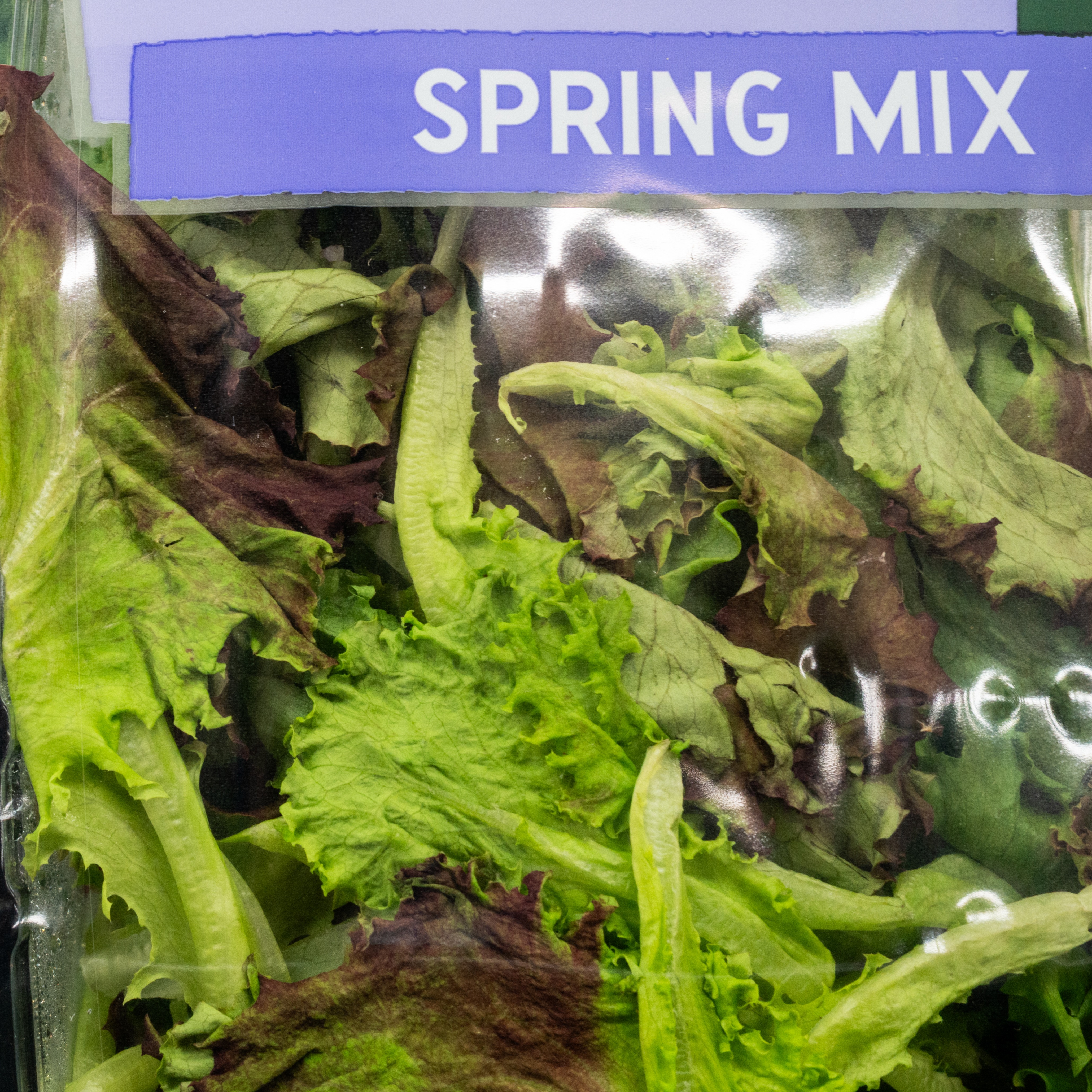 Systems for tracking parasites in US food industry under fire as cyclosporiasis cases spread episode artwork