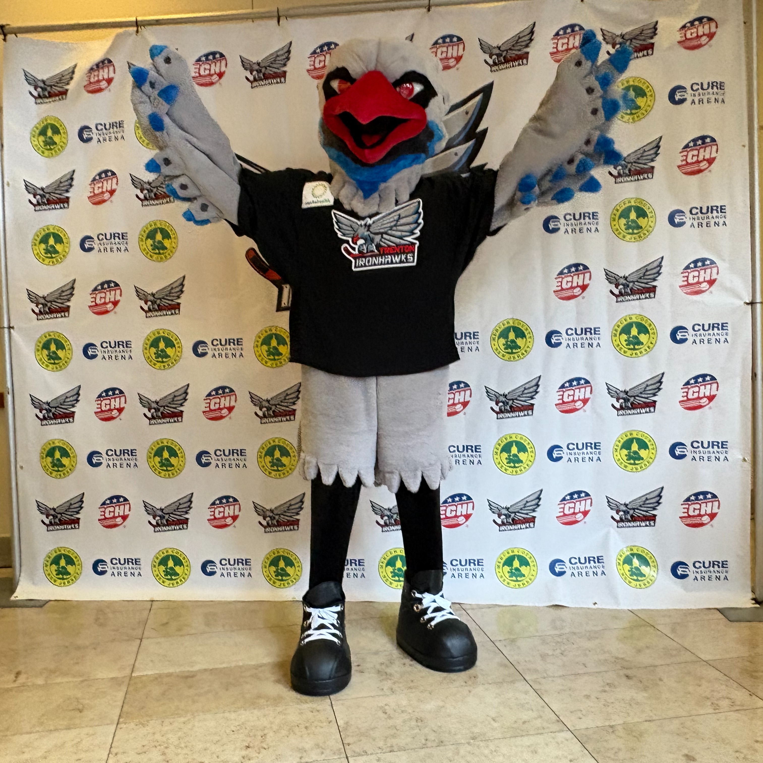 Meet Hawkey, the Trenton Ironhawks' new mascot episode artwork