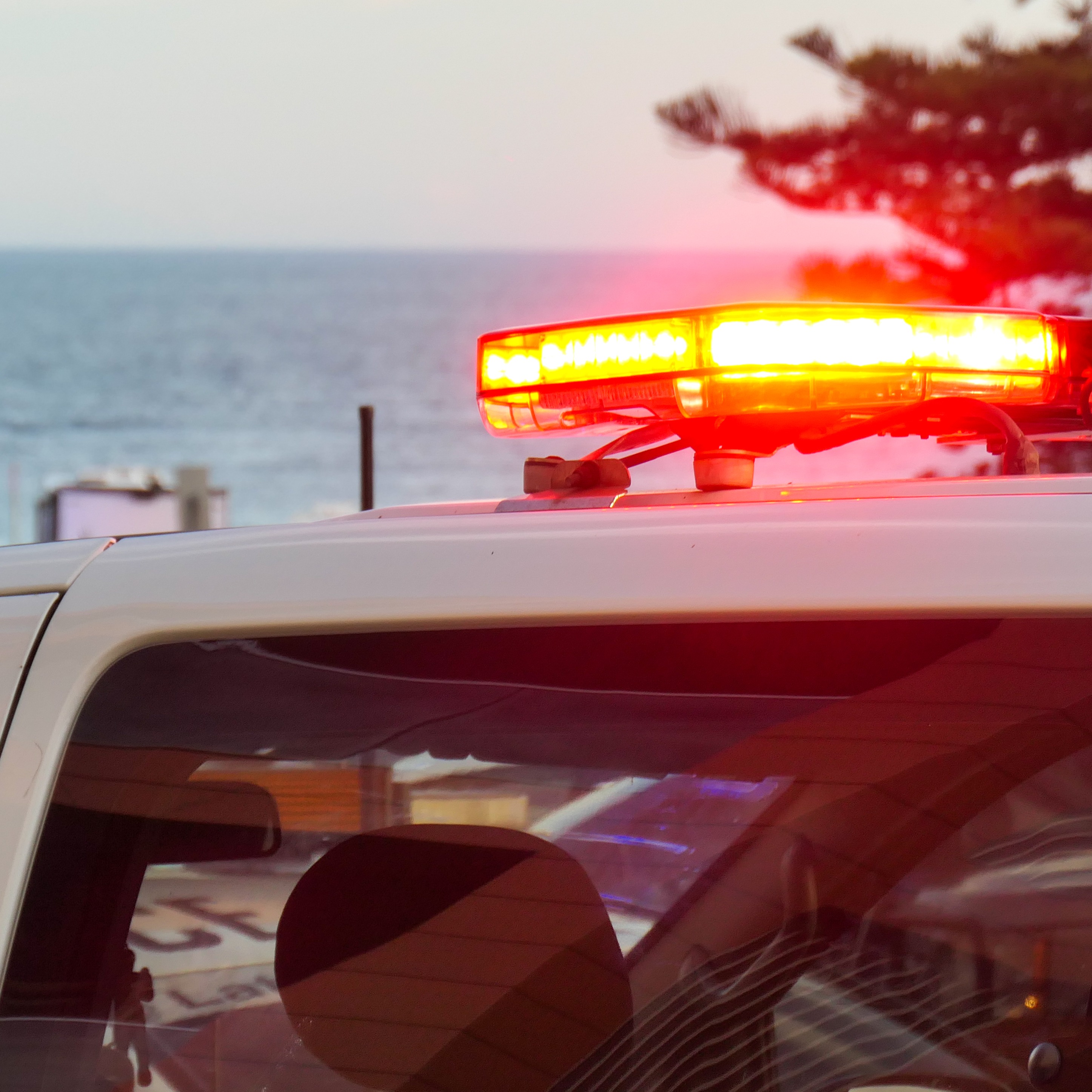 2 men charged with assaulting police officers during fight at Sea Isle City episode artwork