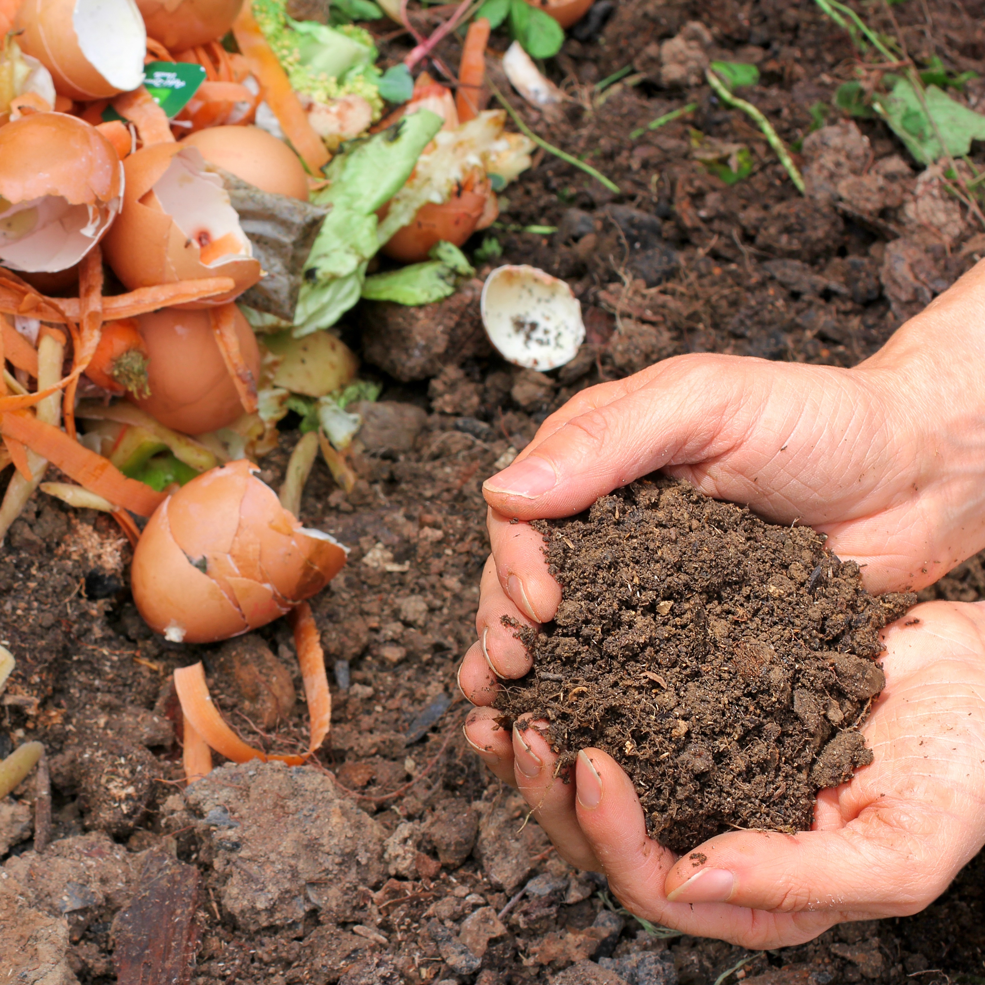 Delco gets $5M grant to create new composting facility and recycling drop-off center episode artwork
