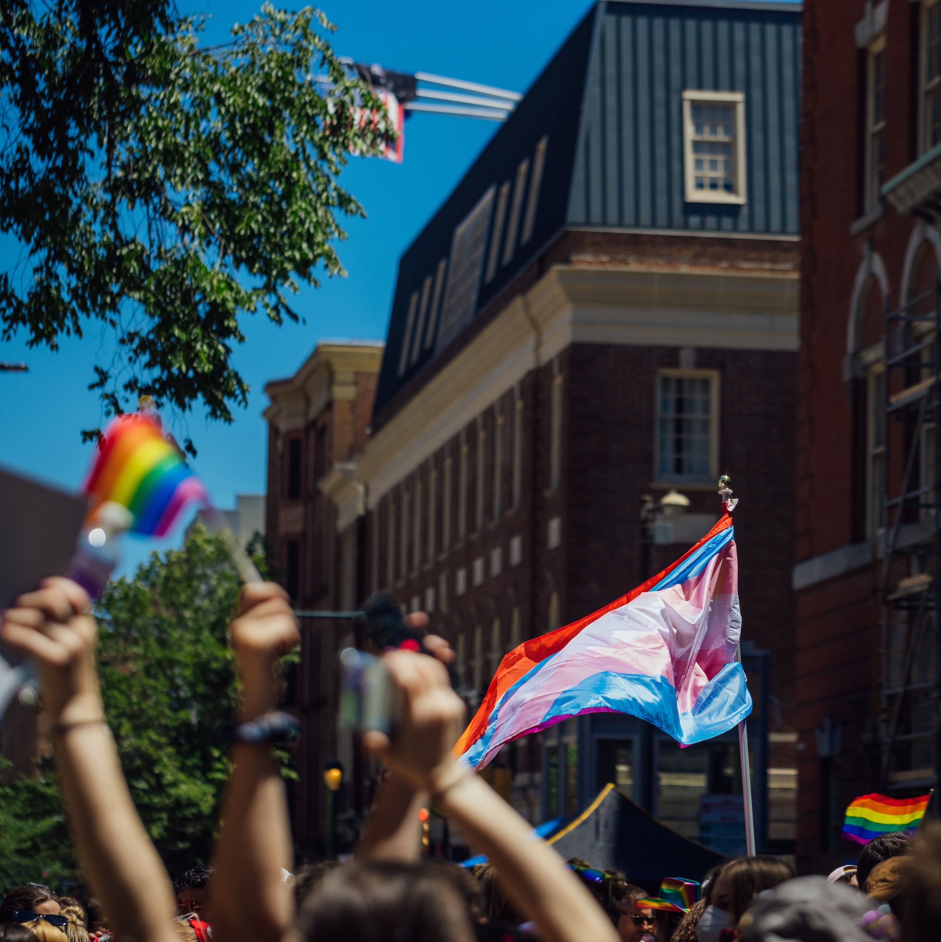 City Council to hold hearing on police crackdown in Gayborhood during Pride episode artwork