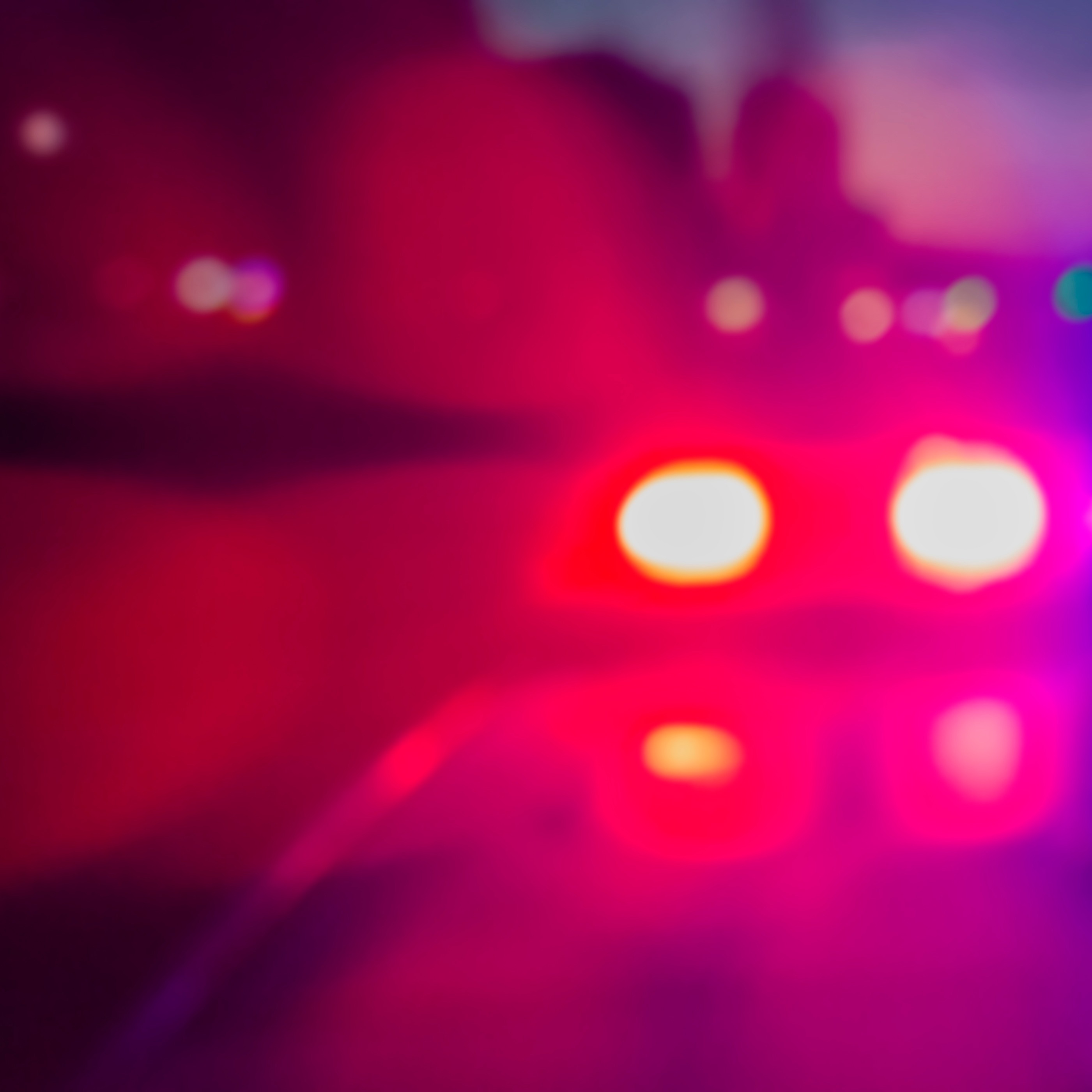 Police looking for owner of dog left dead on Mercer County highway episode artwork