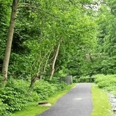Upper Darby officials halt Mozino Forest development after community pushback episode artwork