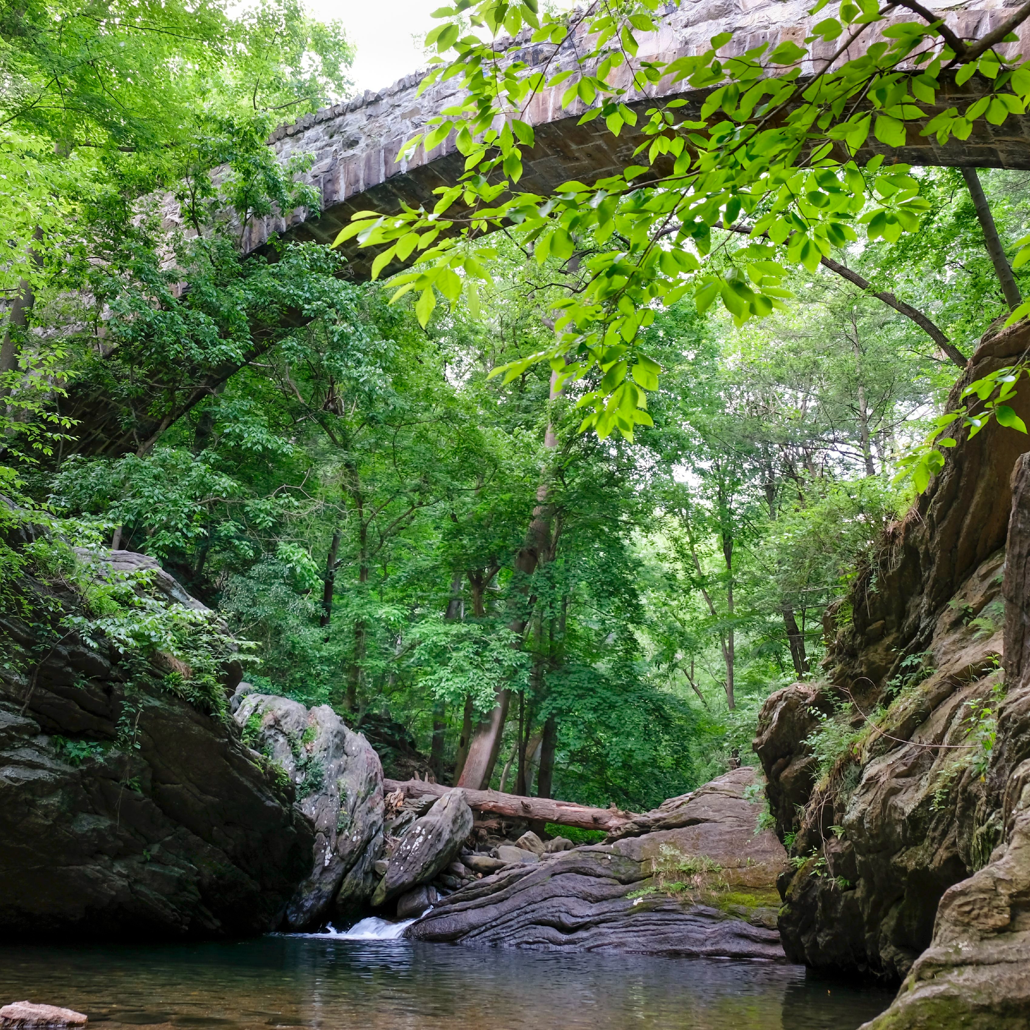 Philly police, Parks and Rec Department to crack down on illegal parties at Devil’s Pool episode artwork