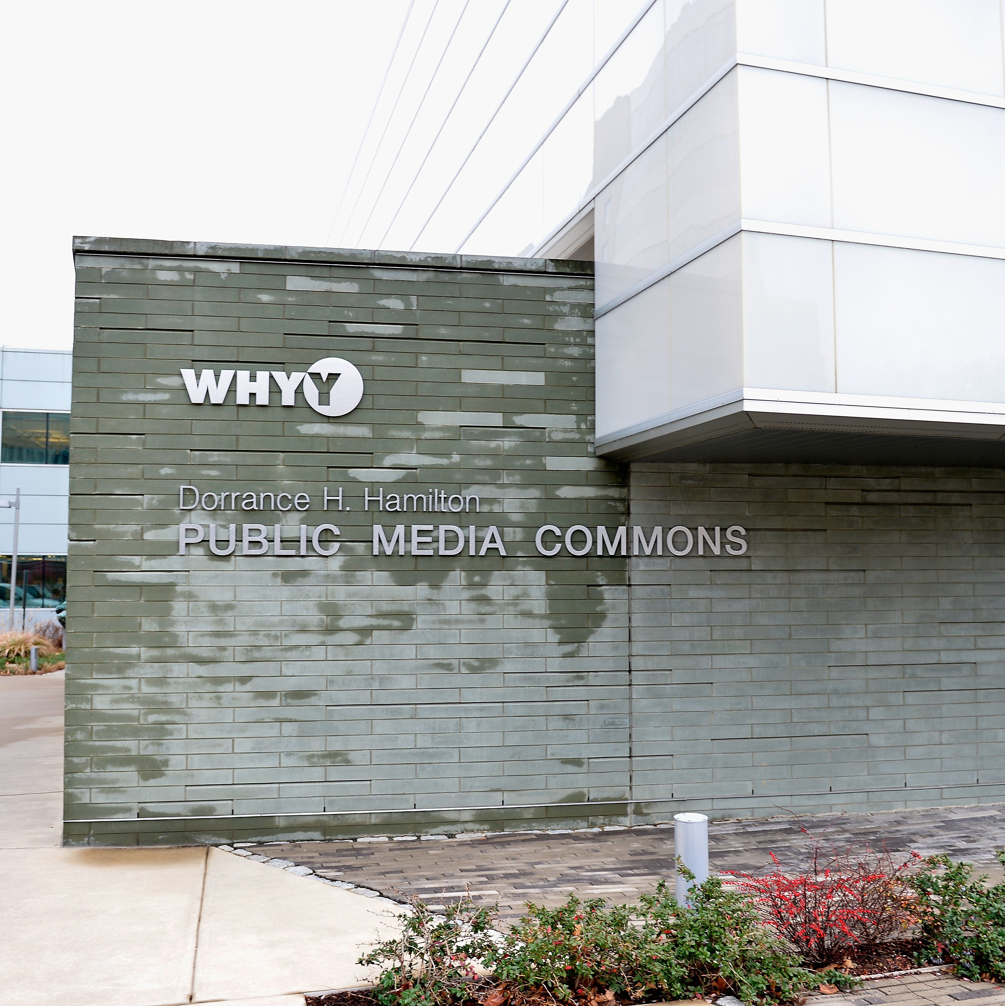 WHYY entangled in catfishing scheme targeting celebrities for money episode artwork