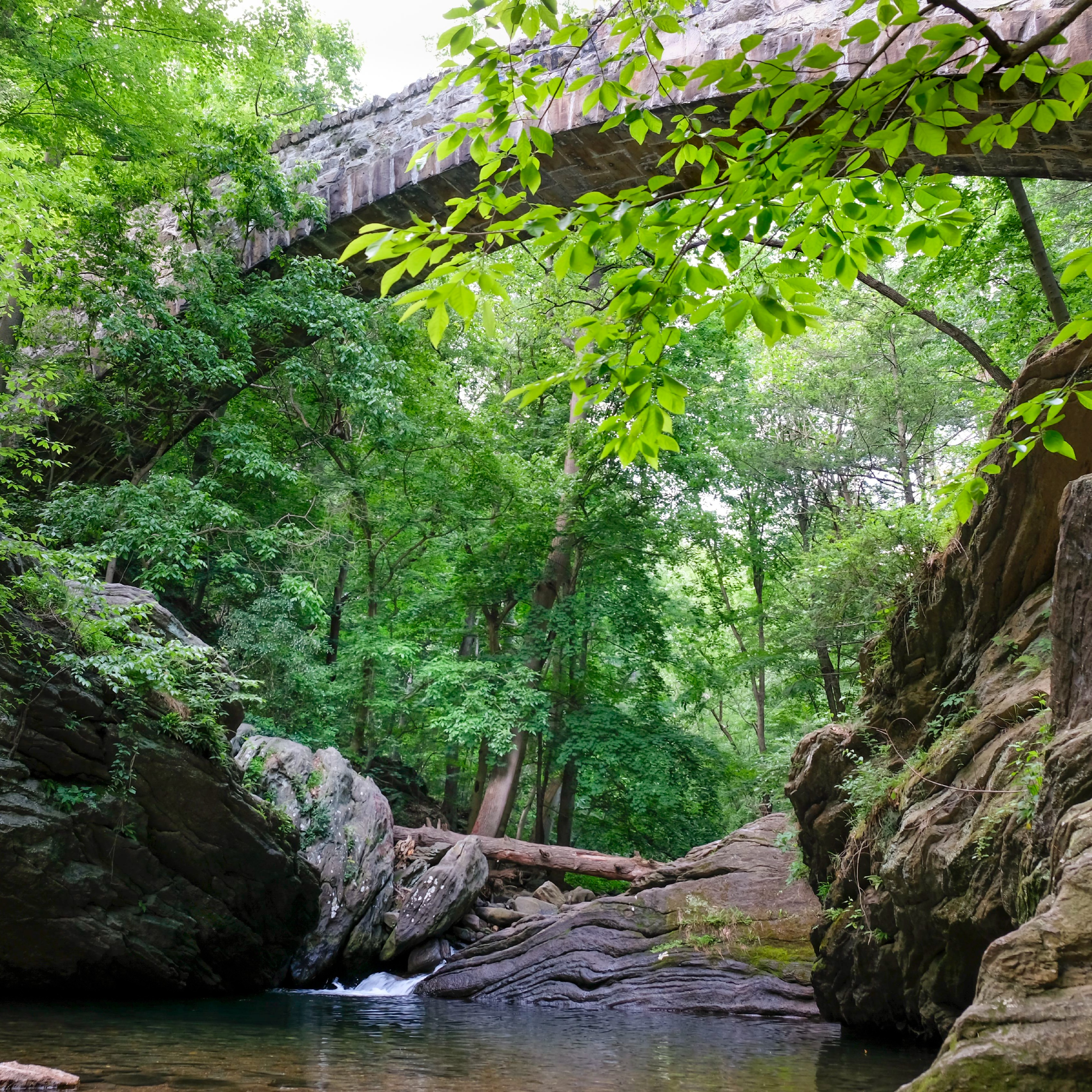 Philly parks officials say increased patrols and enforcement at Devil’s Pool worked, but the ‘battle’s not over yet’ episode artwork