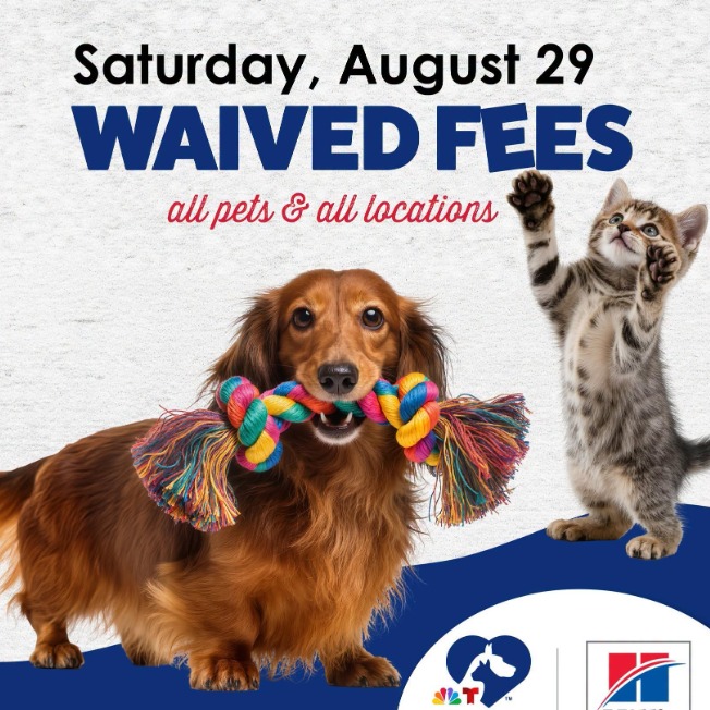 Brandywine Valley SPCA joins 12th annual Clear the Shelters event episode artwork