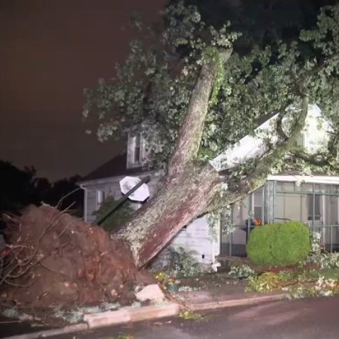 Thousands without power in Mantua Township following heavy storms episode artwork