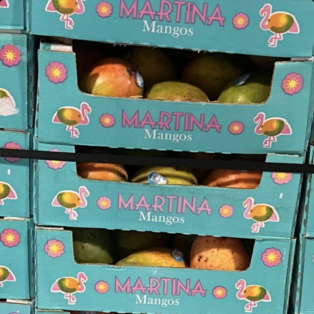 Mangoes sold at Walmart recalled due to possible salmonella contamination episode artwork