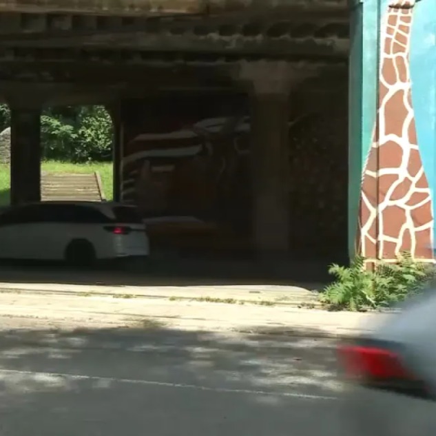 1 dead, 1 critical after car slams into pillar near Philly Zoo episode artwork