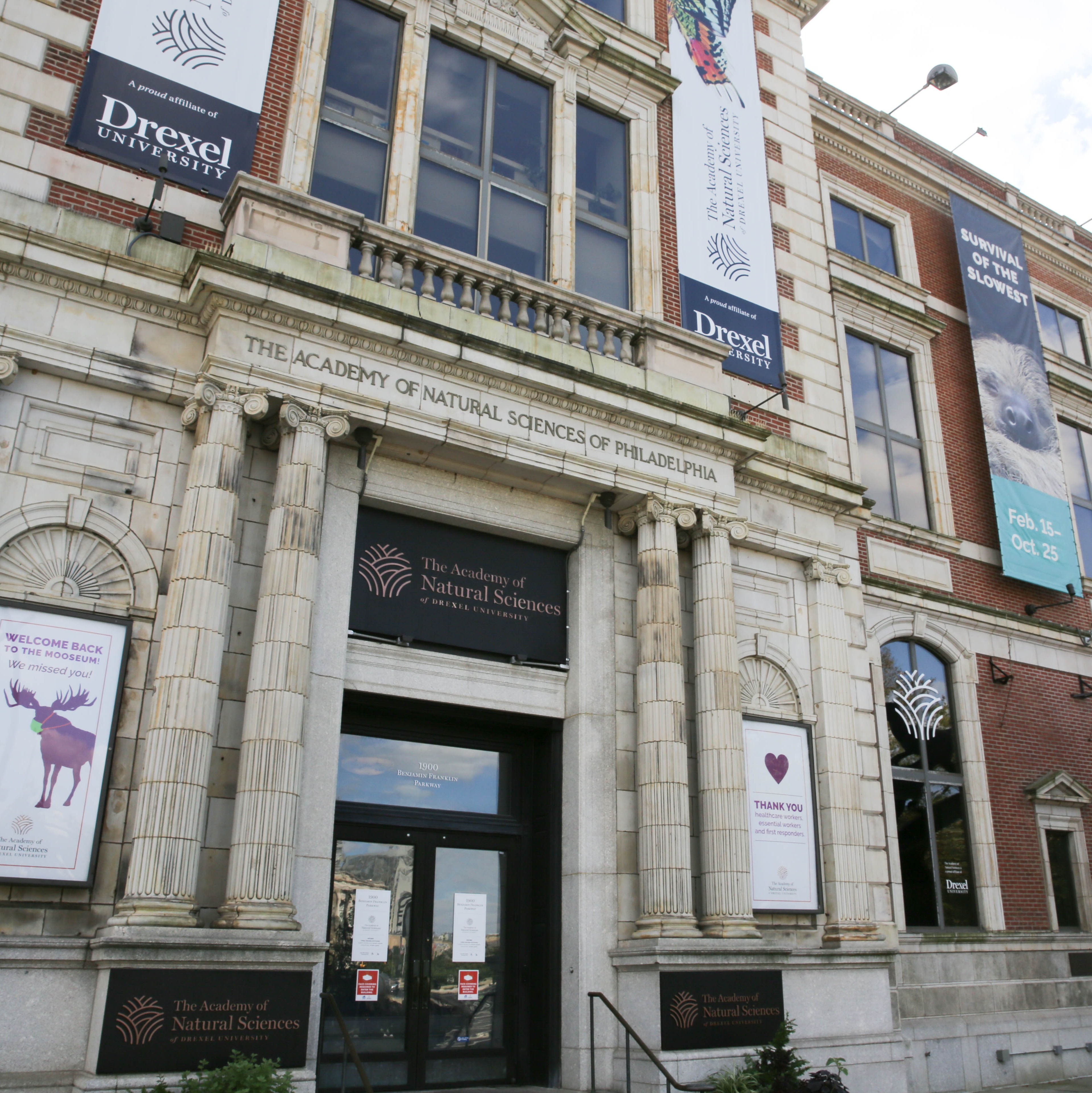 Candlelight vigil and march to be held outside Academy of Natural Sciences on its last day of operations episode artwork