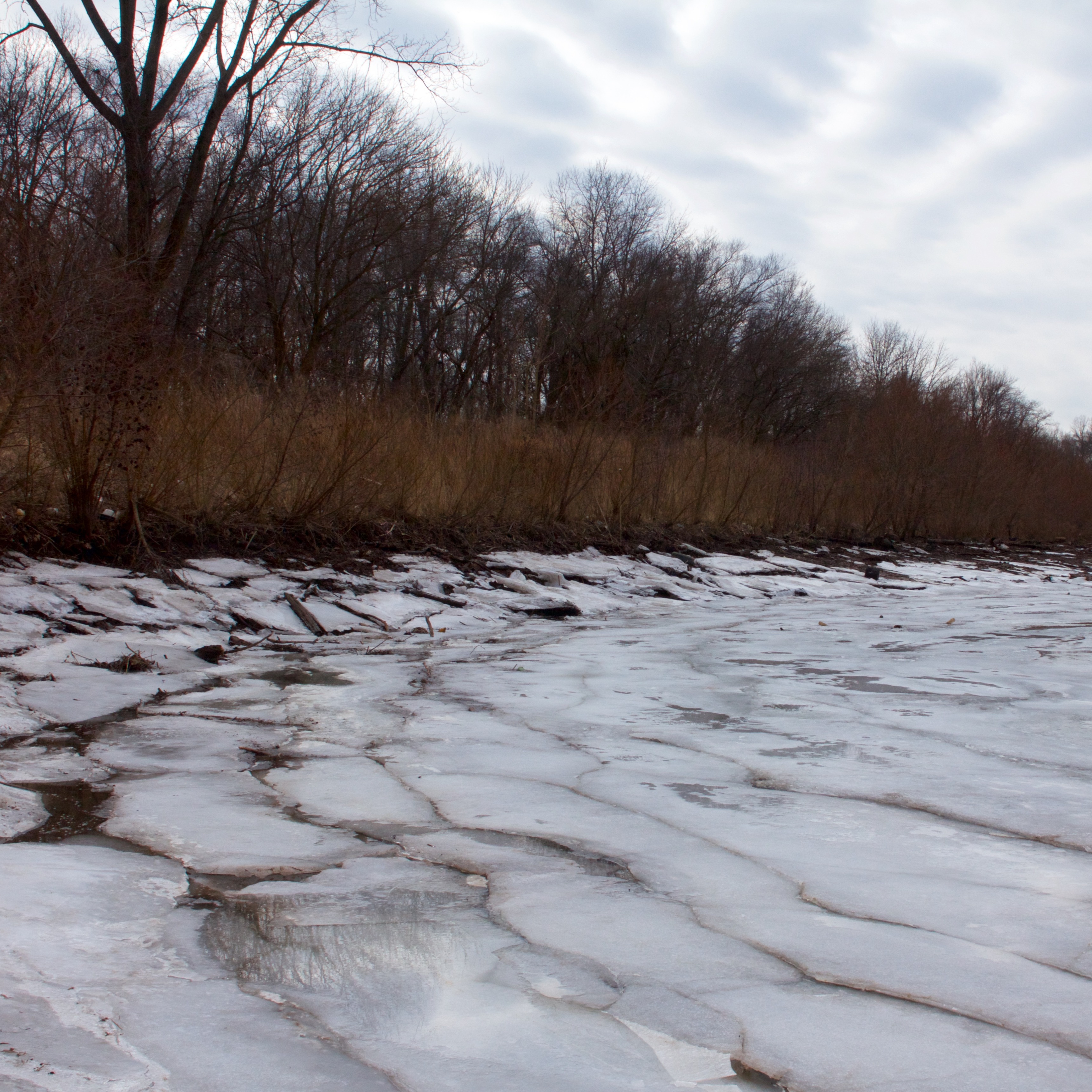 Local environmental scientists find microplastics in dozens of Delaware River samples, call for regulation episode artwork