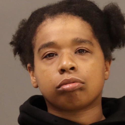 Woman arrested in connection with two arsons in Cedarbrook episode artwork