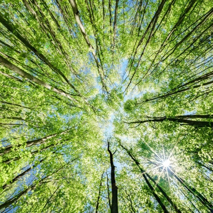 Pa. investing more than $400K in environmental protection and education episode artwork