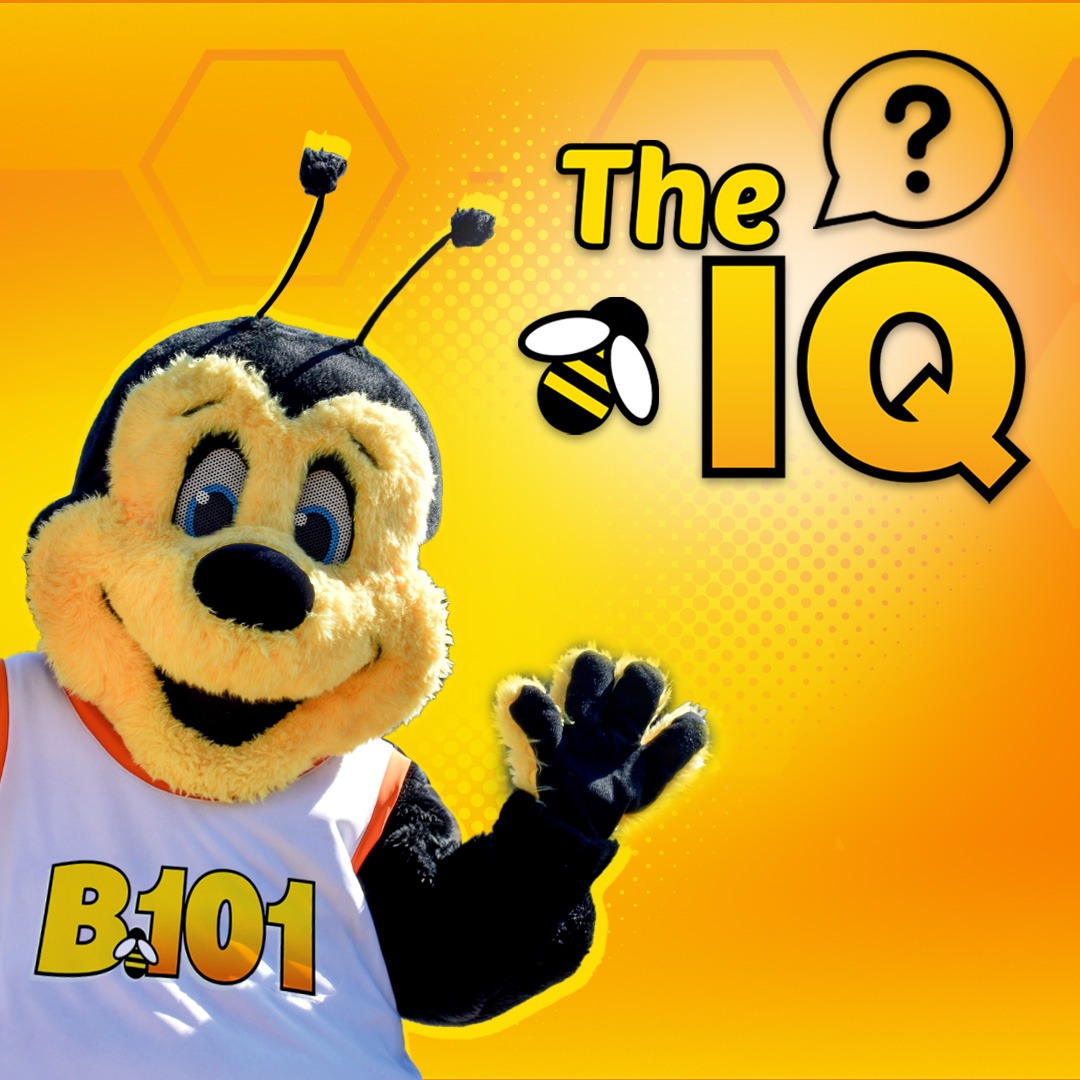 IQ | 4.23.25 | PT 1 episode artwork