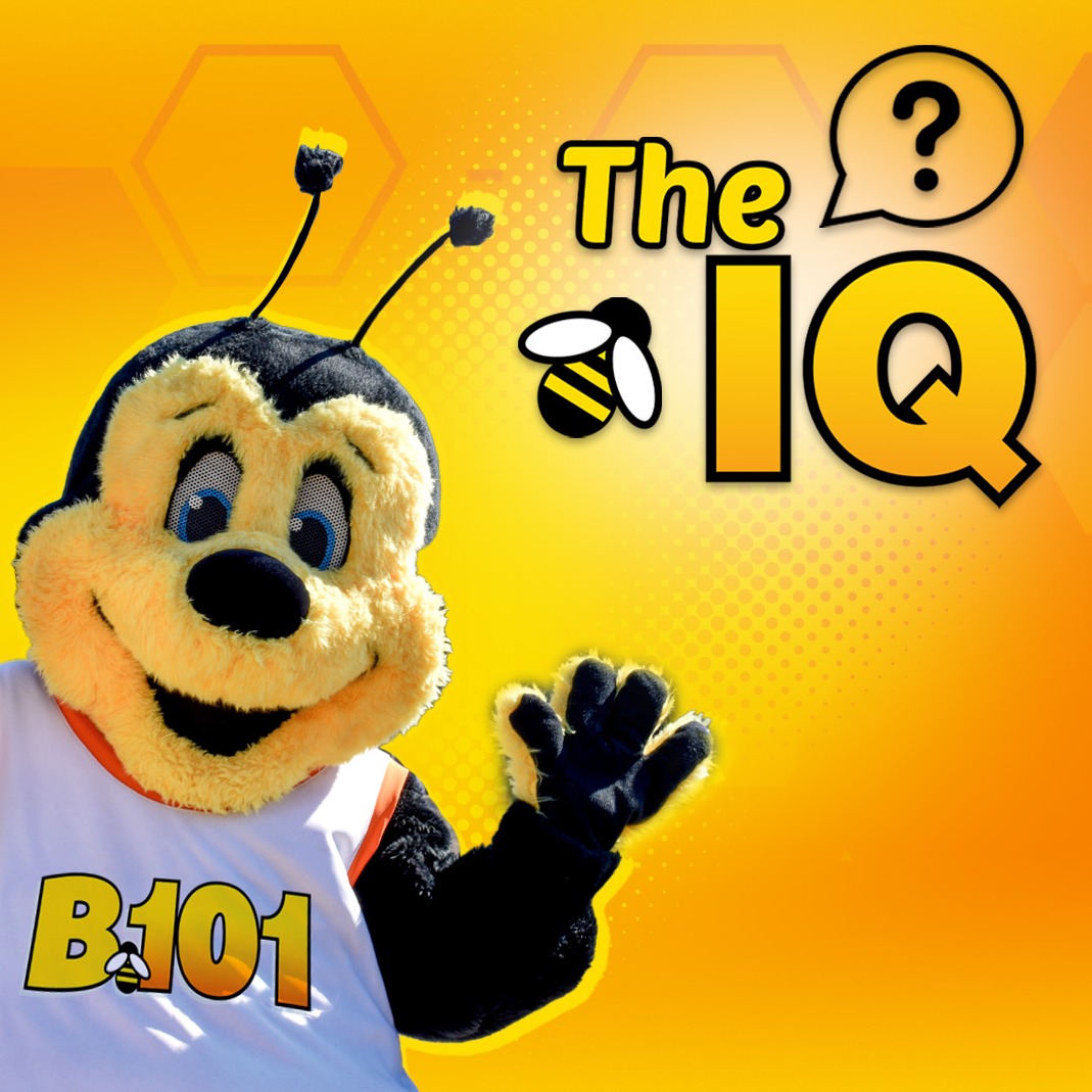 IQ | 10.23.24 | $1717 WINNER!