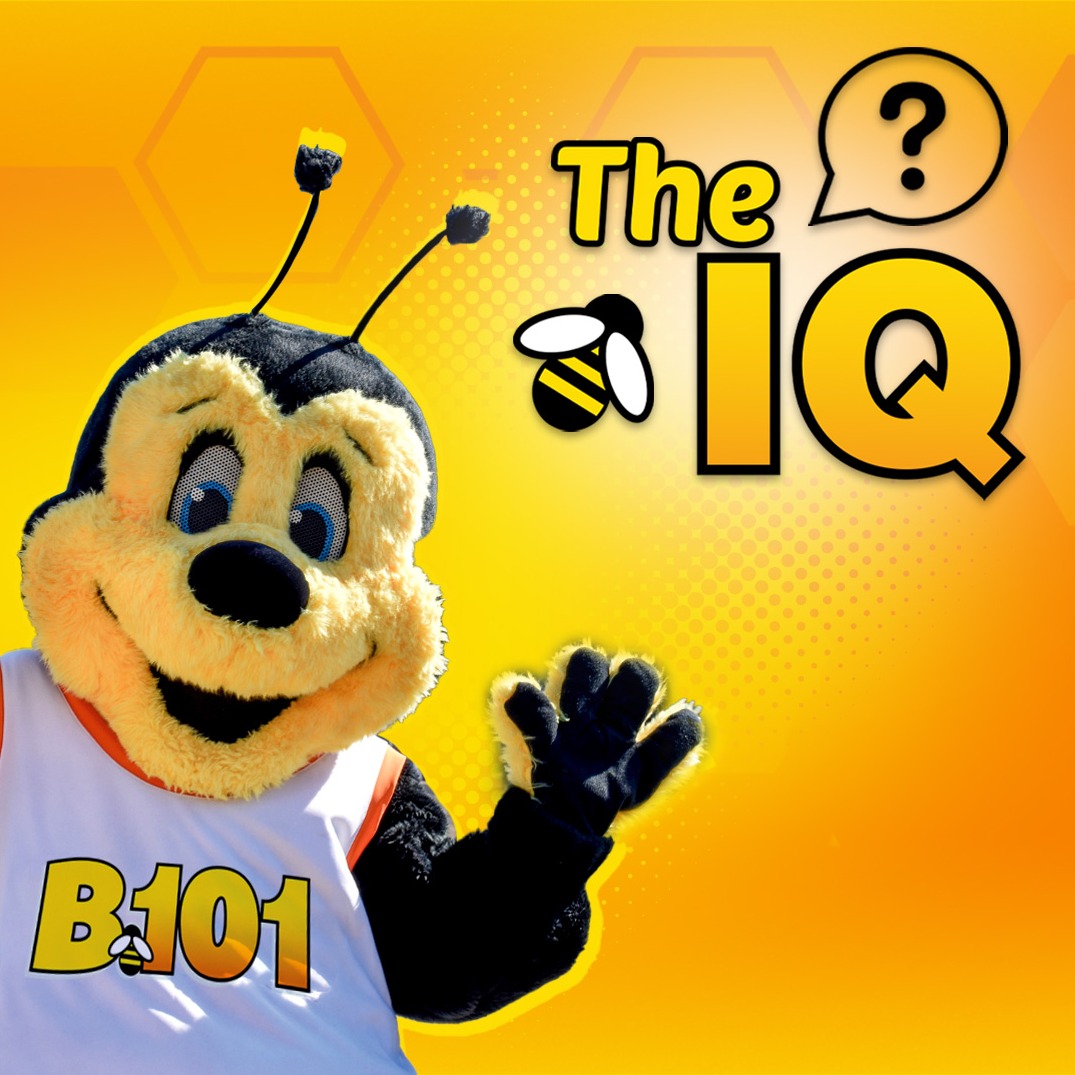 IQ | 3.12.26 | $101