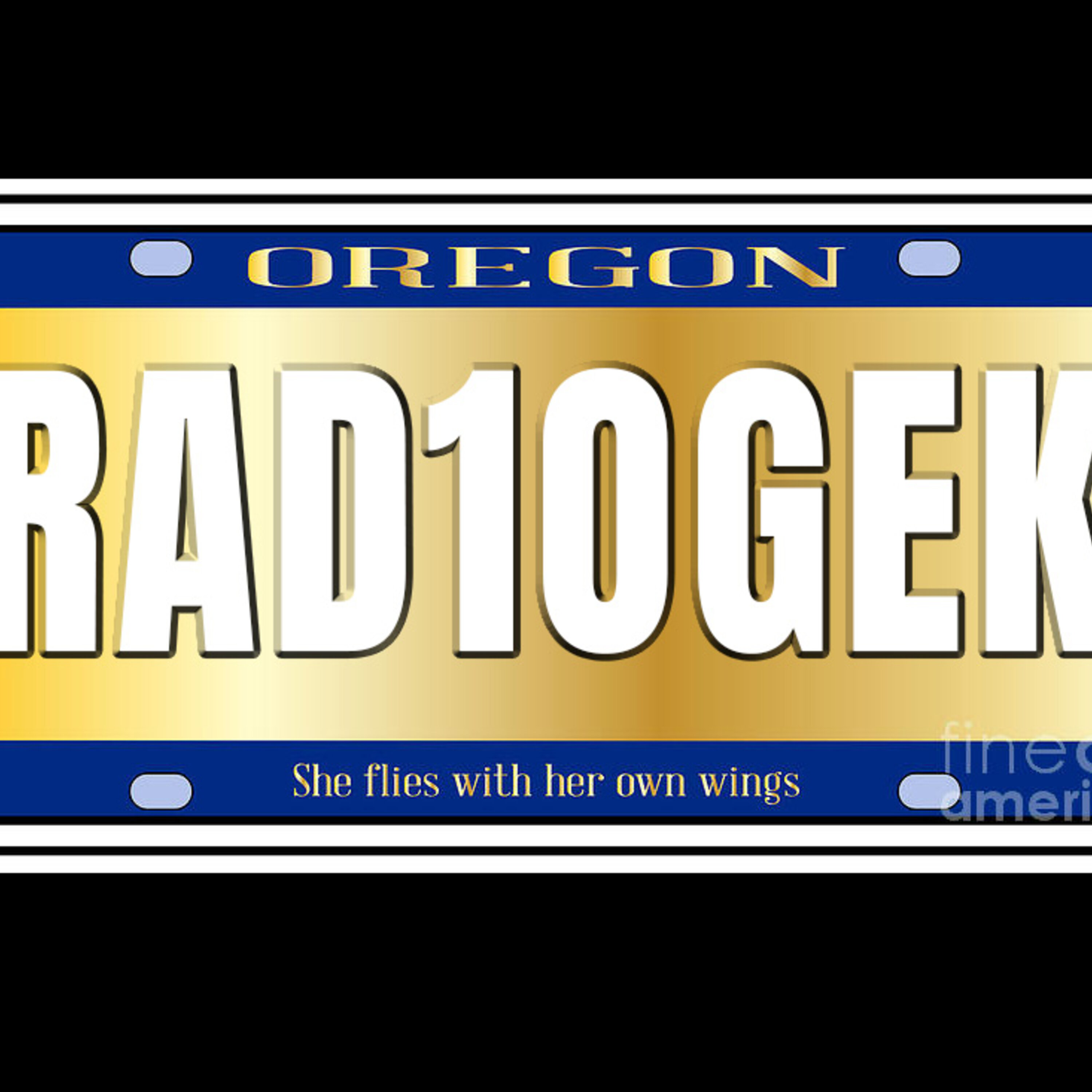 Rejected Custom License Plates In Oregon episode artwork