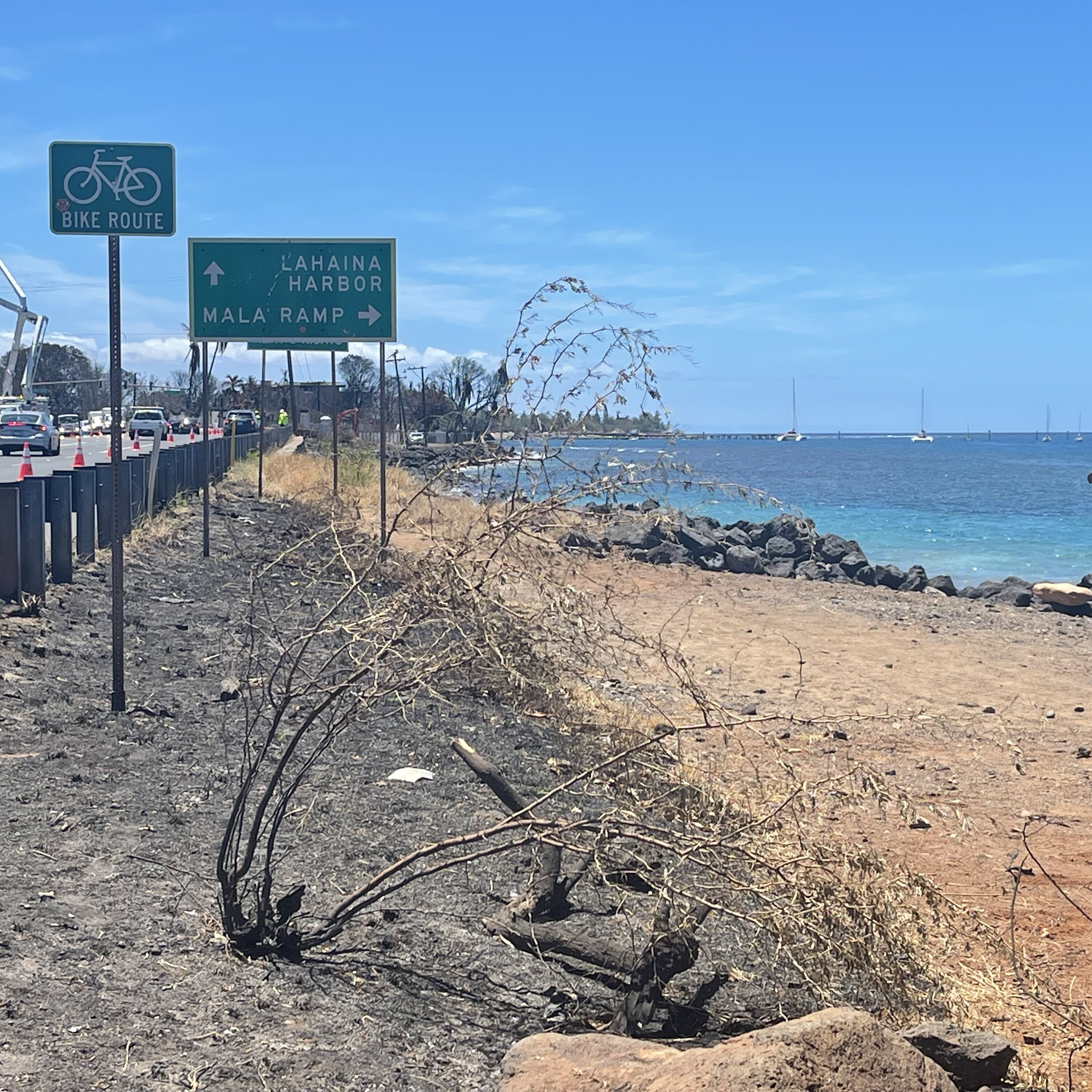 'Ohana' and rebuilding: Lahaina's road to recovery