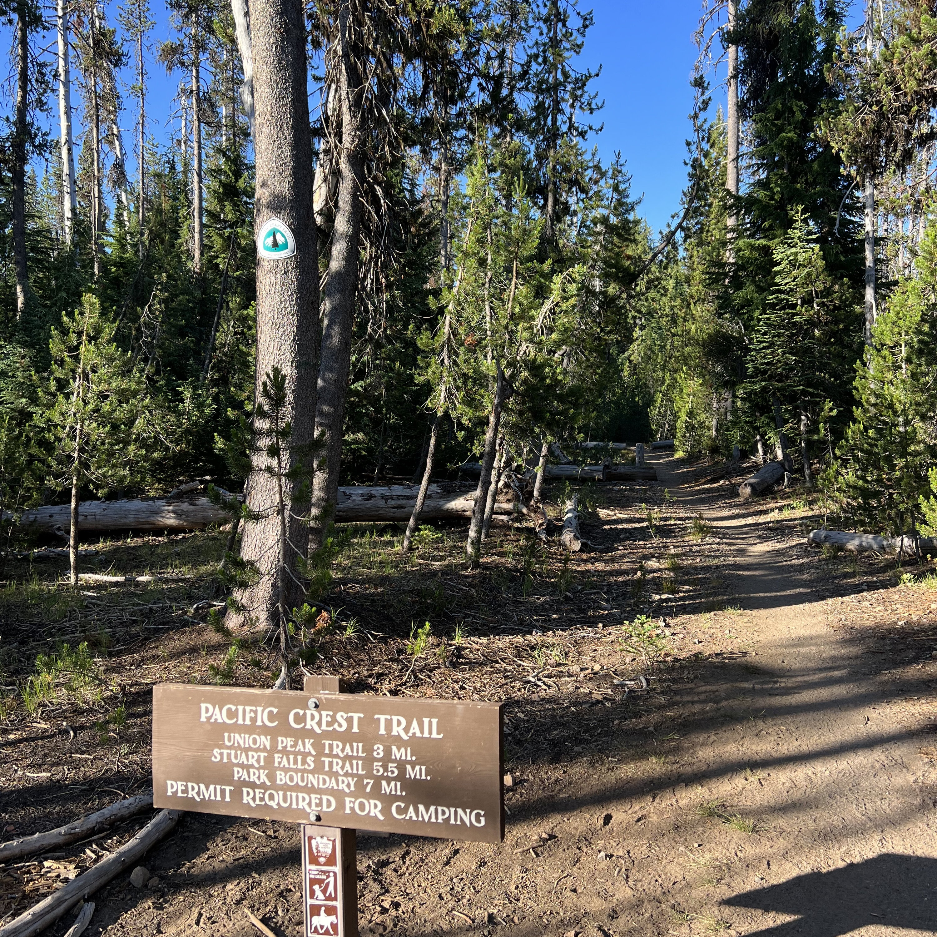 Braving the snowpack: Pacific Crest Trail hikers embrace the flip