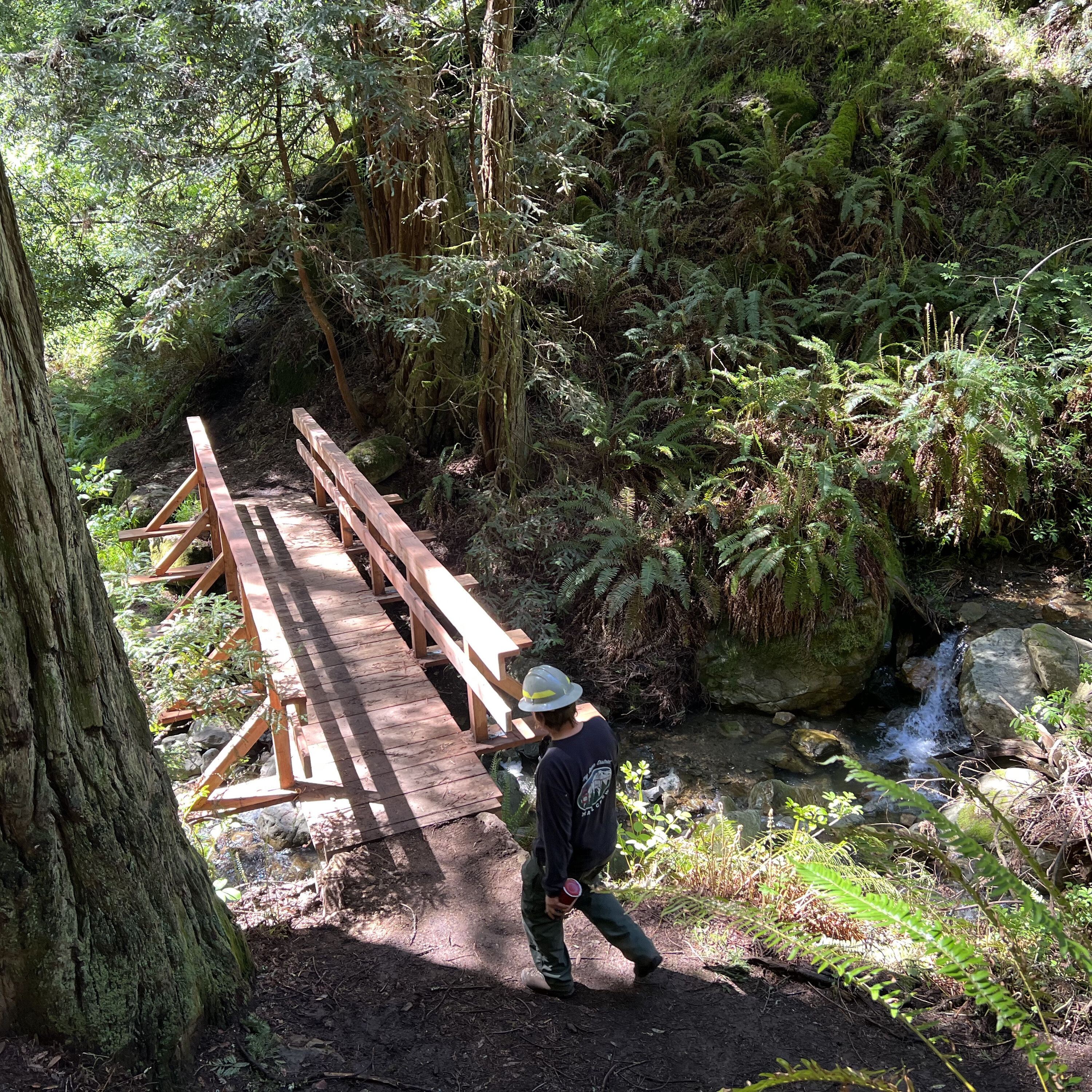 CA State Parks undergo post-storm rebuilding ahead of busy season