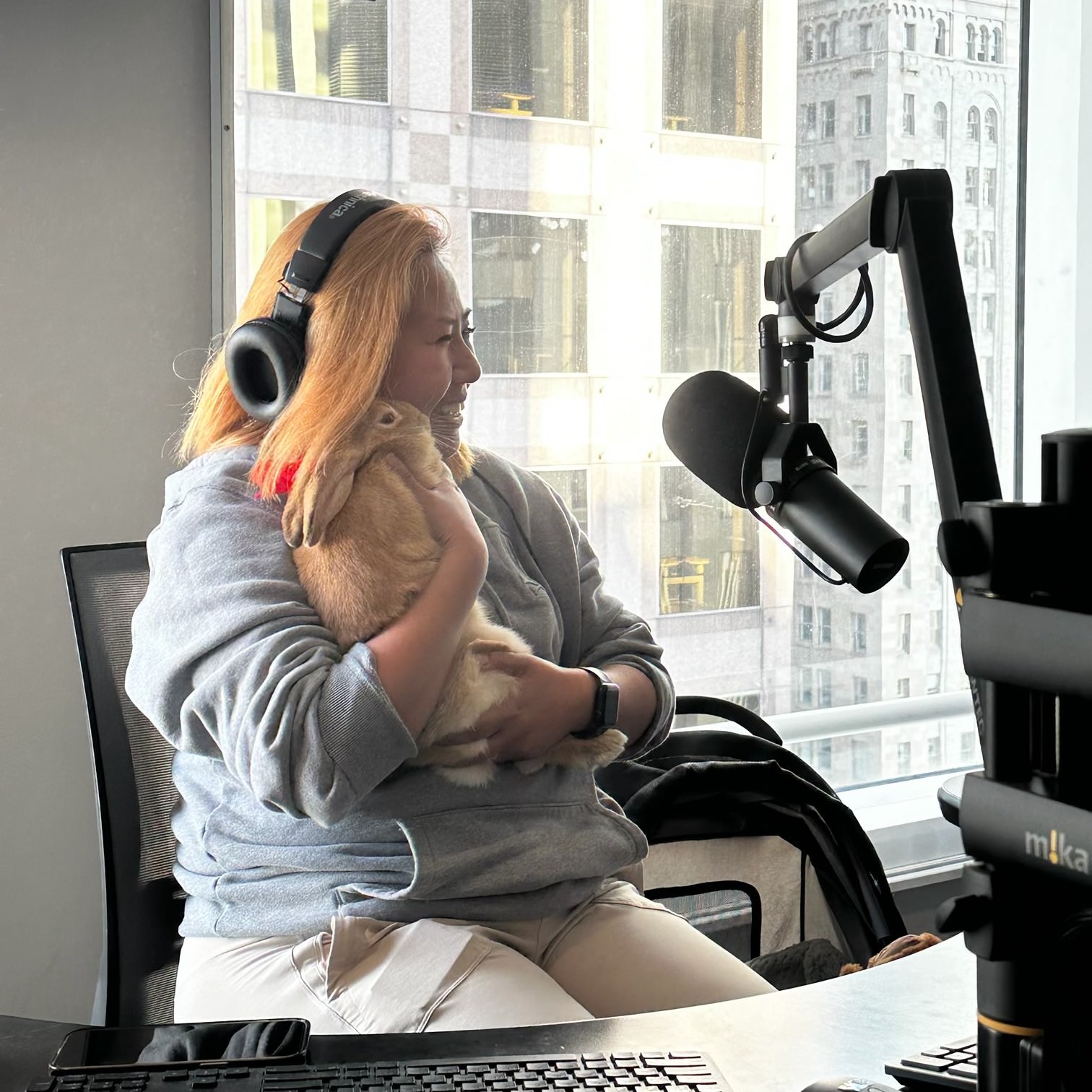 The Bunny Cafe partners with Bay Area rescues to get rabbits adopted