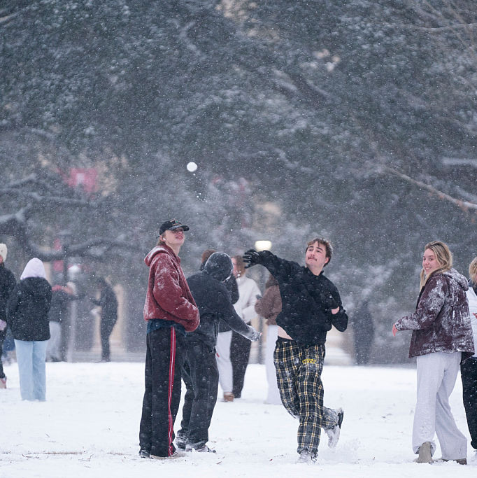 Did you see this? Olympic snowball fights episode artwork