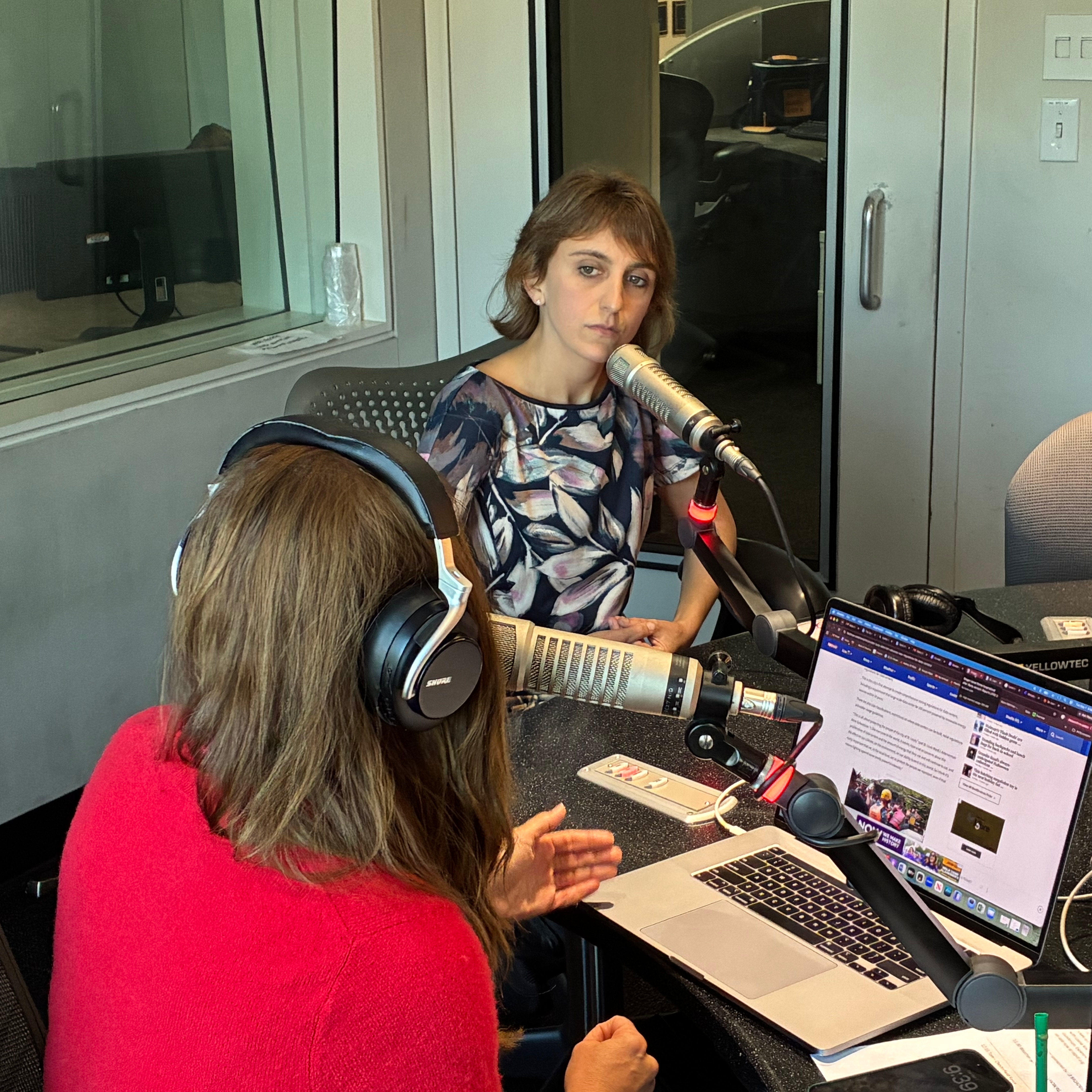 Alderwoman Anne Schweitzer: We're 'balancing a lot of different interests' on data centers episode artwork