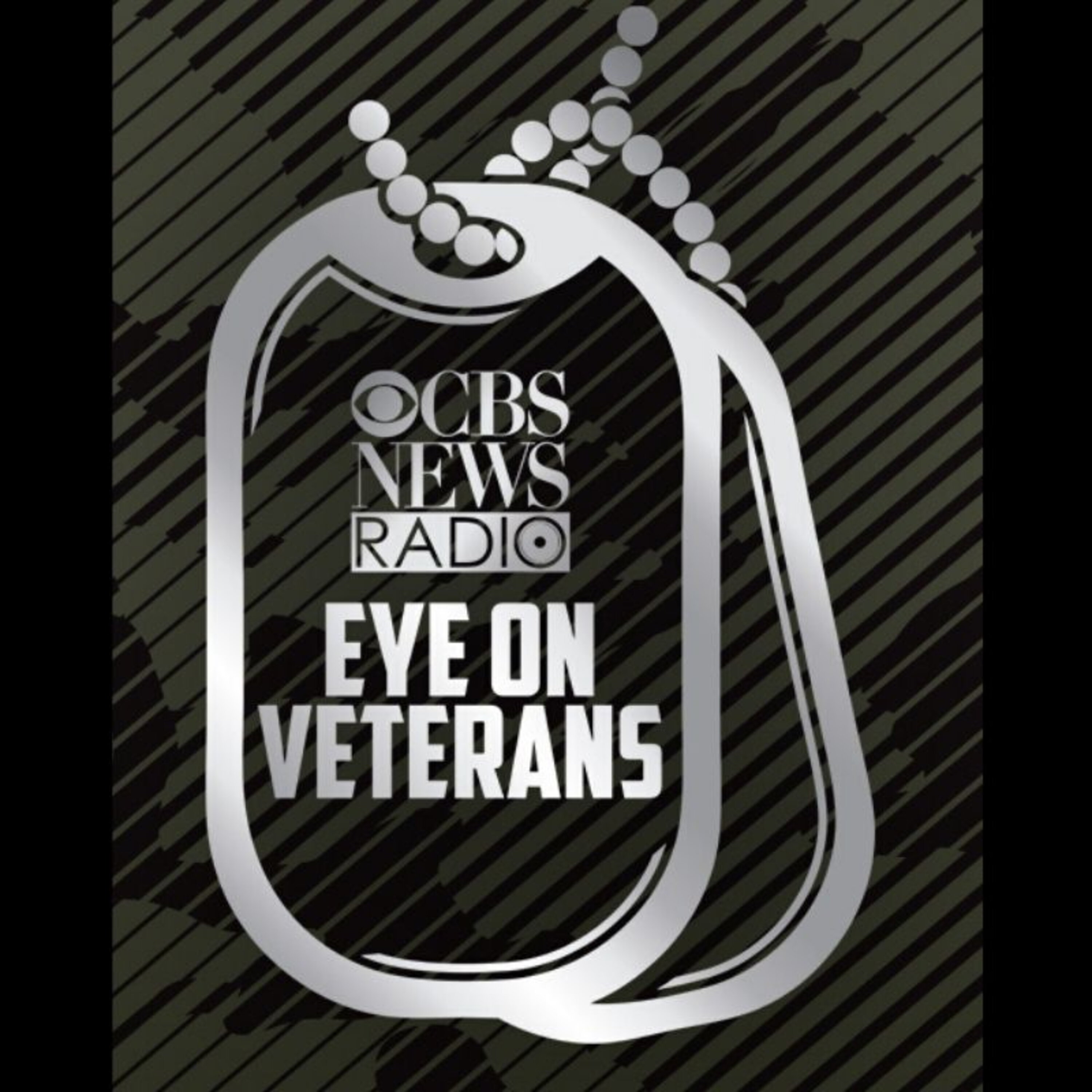 From the Marines to the Mic:  Matt Baker, the voice of Shark Week episode artwork