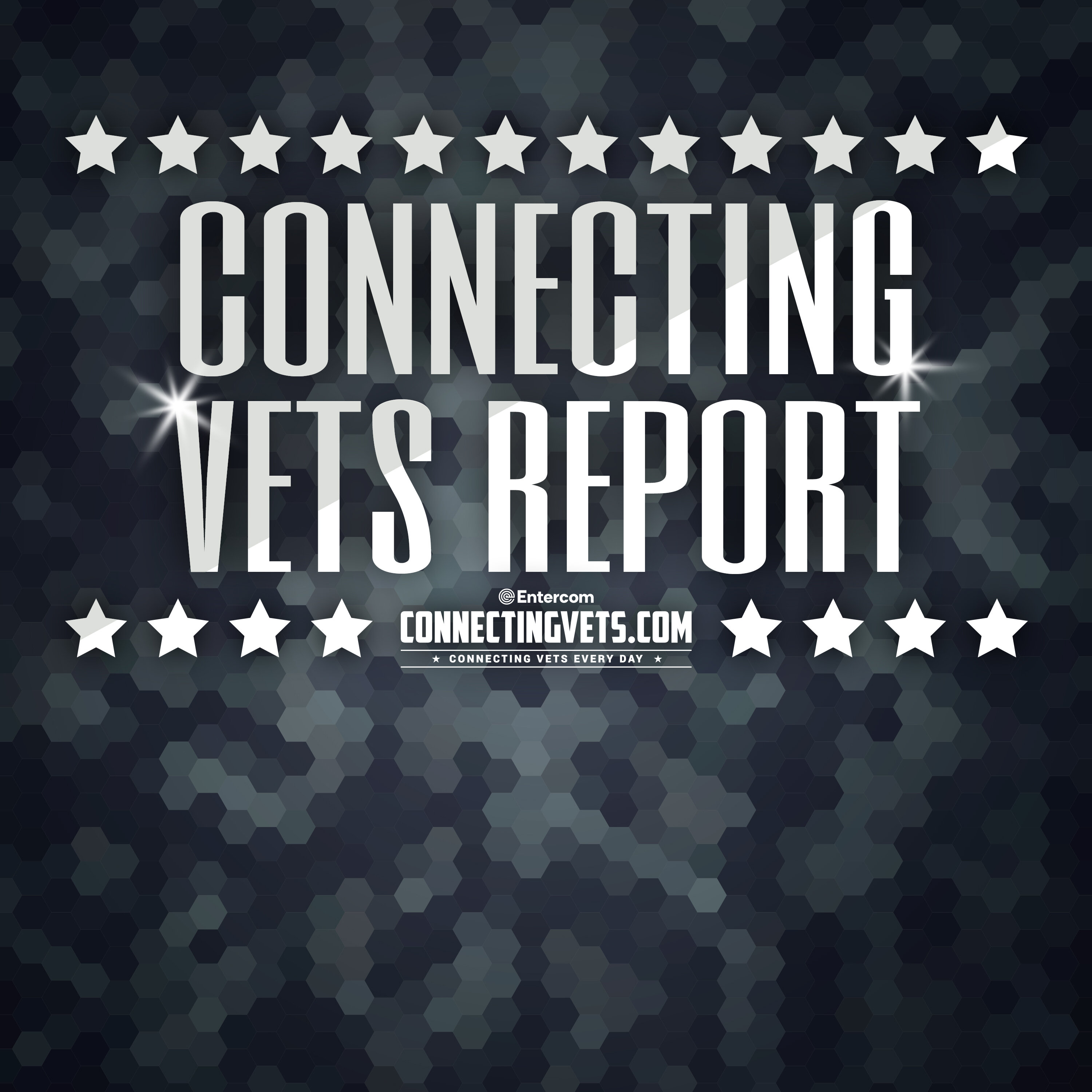 Connecting Vets