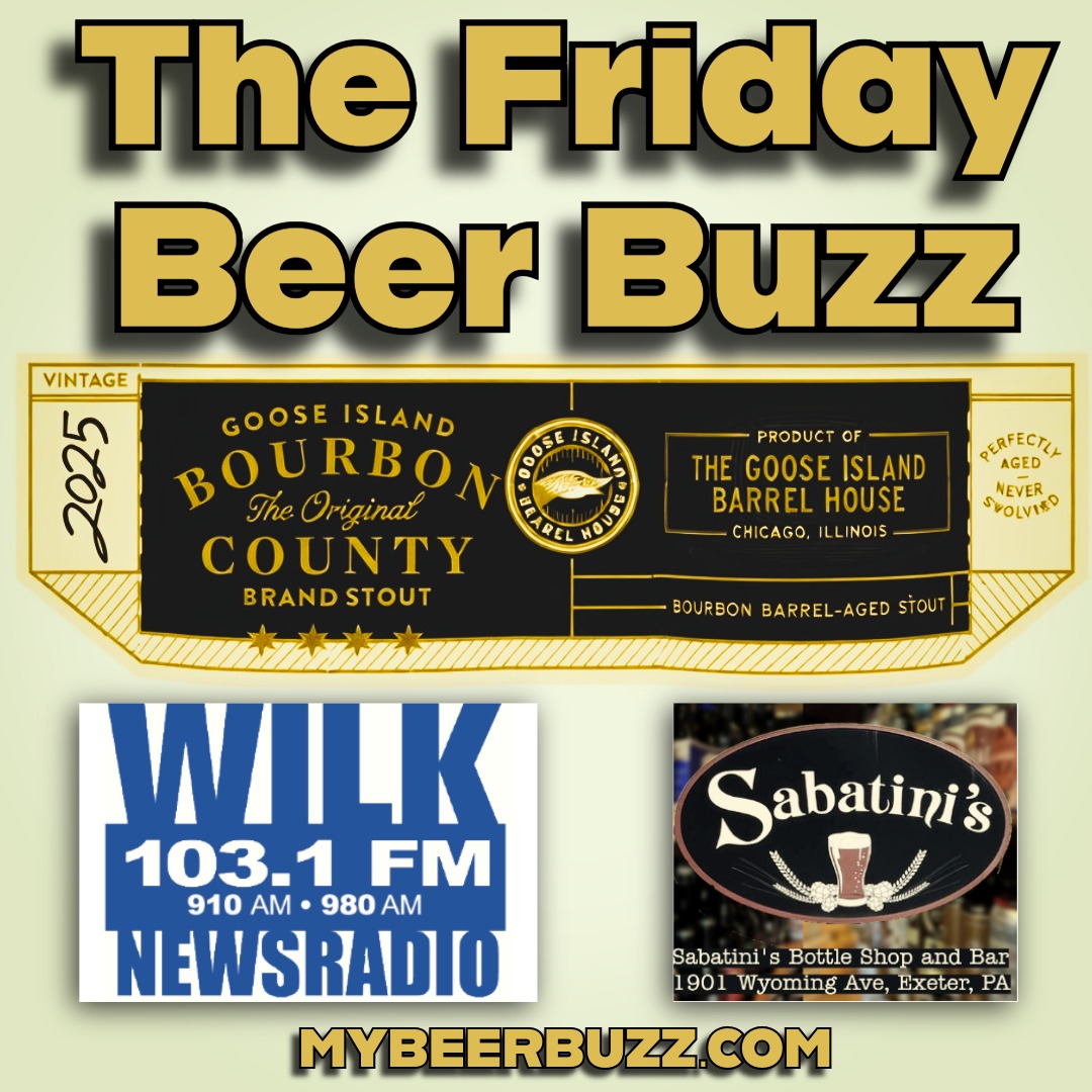 The Friday Beer Buzz: Goose Island Bourbon County Brand Stout (The Art of the Heater) episode artwork