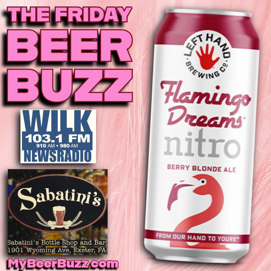 A Pretty Pink Beer with “Flamingo Dreams” on the Friday Beer Buzz!! episode artwork