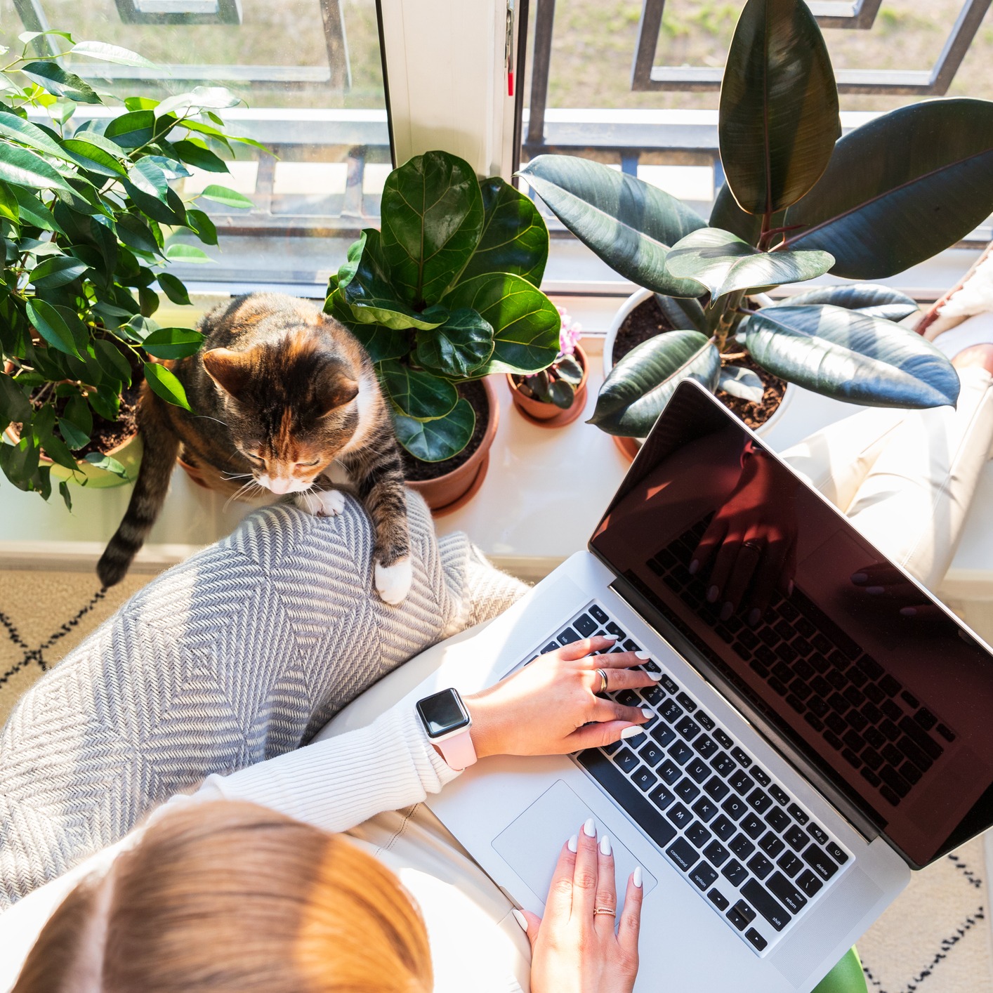 Is Working From Home Unhealthy? Sue Henry Has The Numbers episode artwork